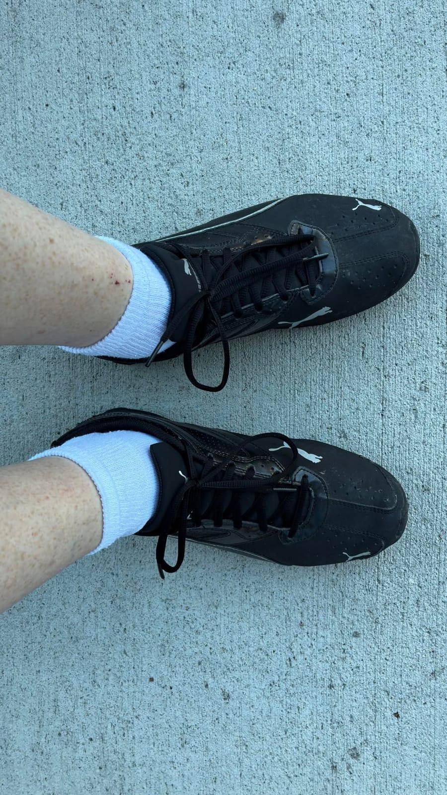 PUMA Men's Tazon 6 FM Shoes customer photo 1