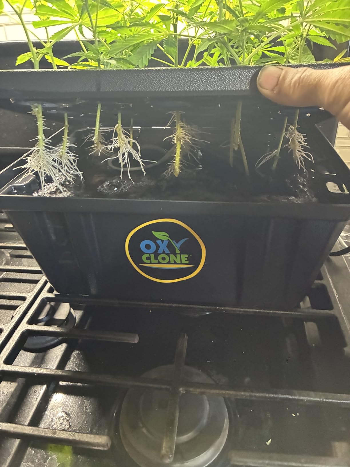 Oxyclone OX20SYS Recirculating Cloning System, 20 Sites, Compact customer photo 1
