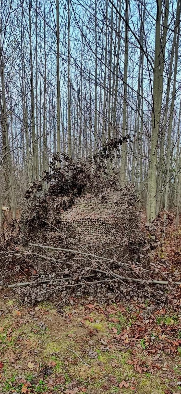 Barronett Blinds Ox Portable Hunting Blind, Pop-Up Hub Blind, Durable Oxhide Fabric, Panoramic Shooting Window, Bloodtrail Backwoods customer photo 1