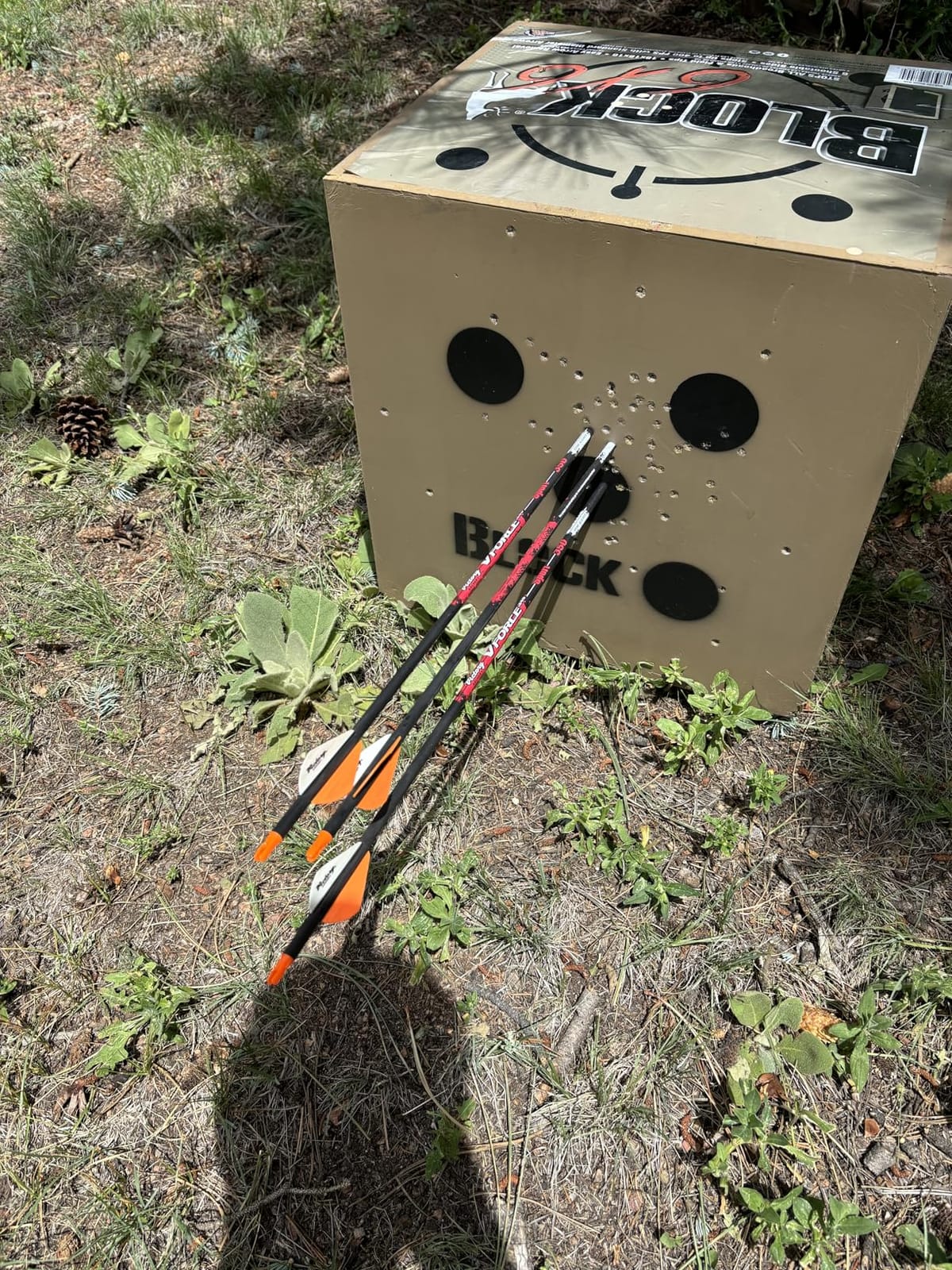 Block 6x6 Poly Fusion Archery Target 6-Sided, 18x18x16, Polyfusion Technology, Black customer photo 1