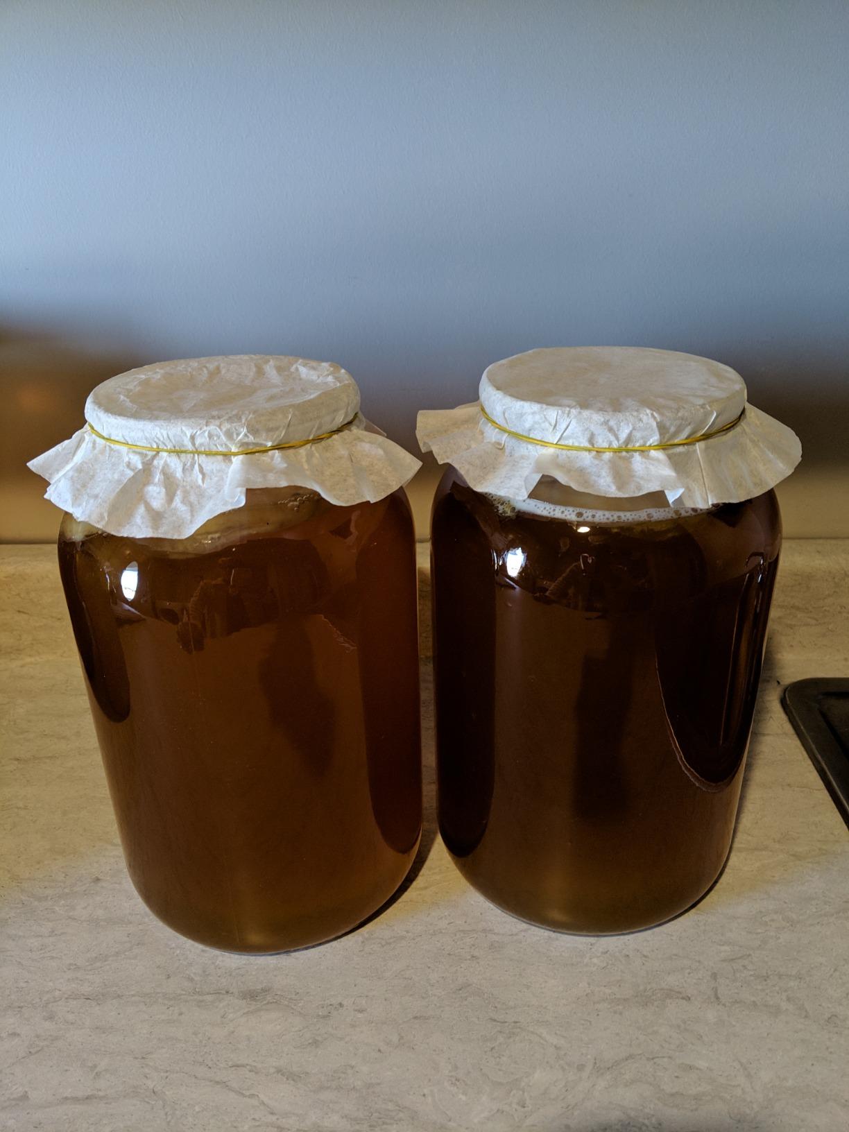 kitchentoolz 1 Gallon Glass Wide Mouth Kombucha Brewing Mason Jar - Home Brewing and Fermenting Kit with Cotton Cloth Filter, Rubber Band and Plastic Lid (1 Jar) customer photo 2