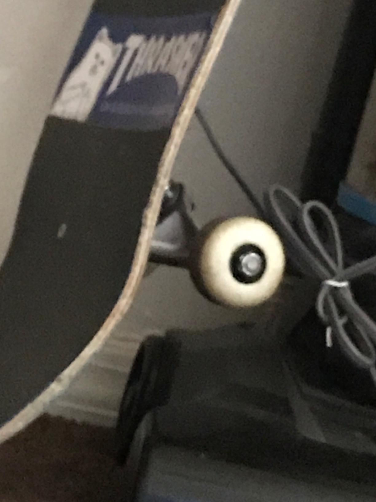 Cal 7 52mm Skateboard Wheels with Bearings customer photo 1