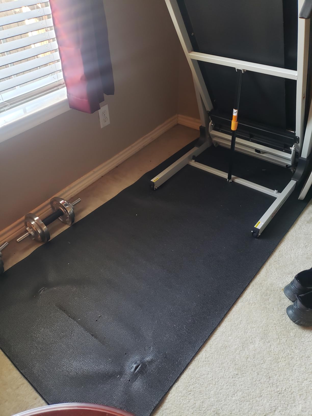 Sunny Health & Fitness Equipment Mats, Home Gym Floor Protection, 4 Sizes customer photo 2