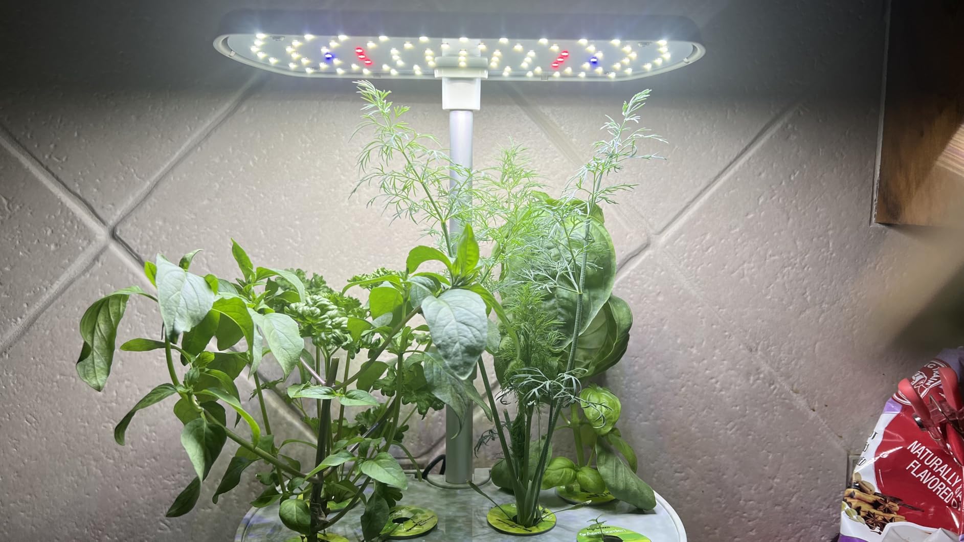 AeroGarden Harvest Elite, Stainless Steel customer photo 1