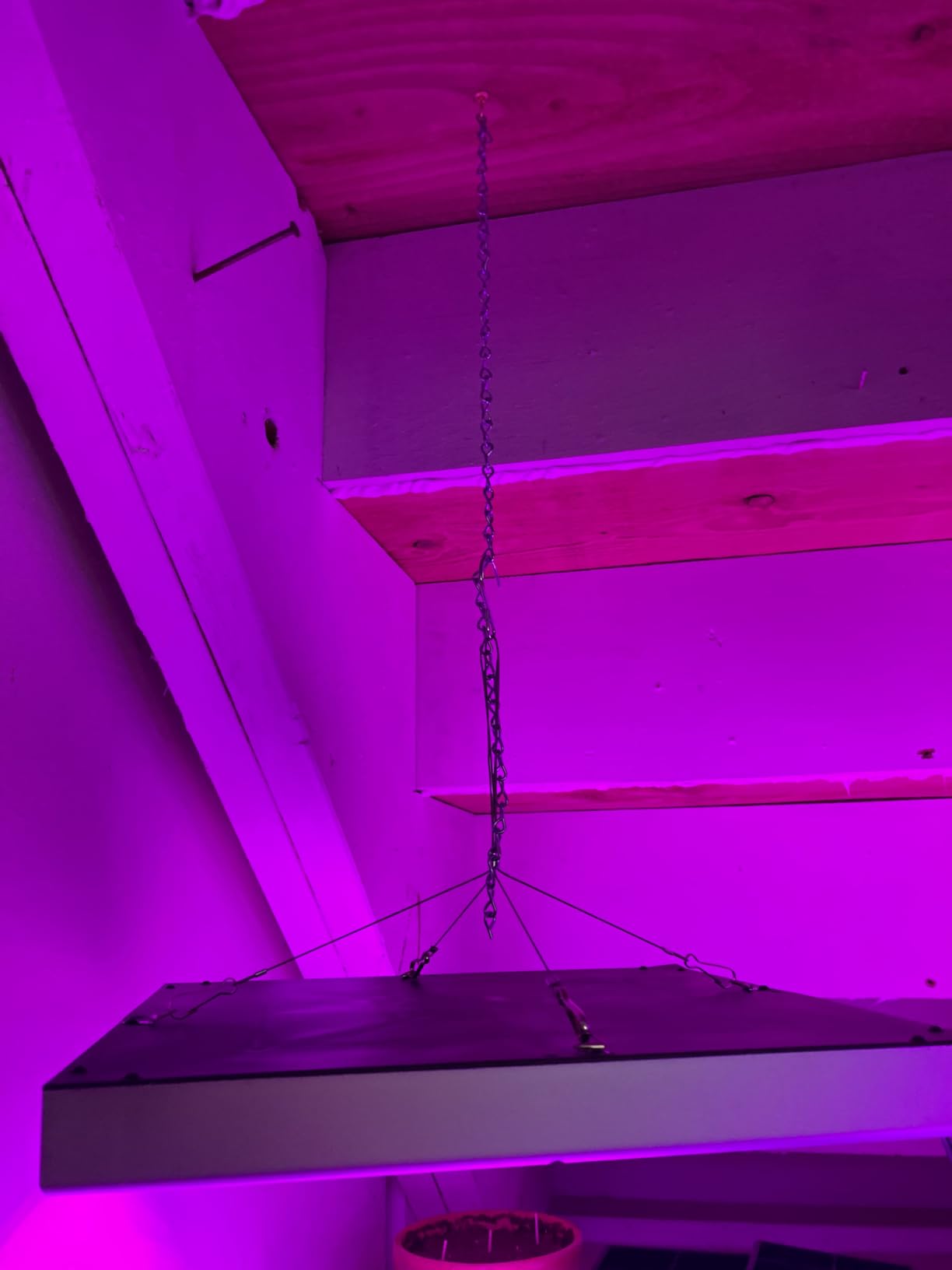 LED Grow Light 225 LEDs Plant Lights Red Blue White Panel Growing Lamps for Indoor Plants Seedling Vegetable and Flower (2 Pack) customer photo 2