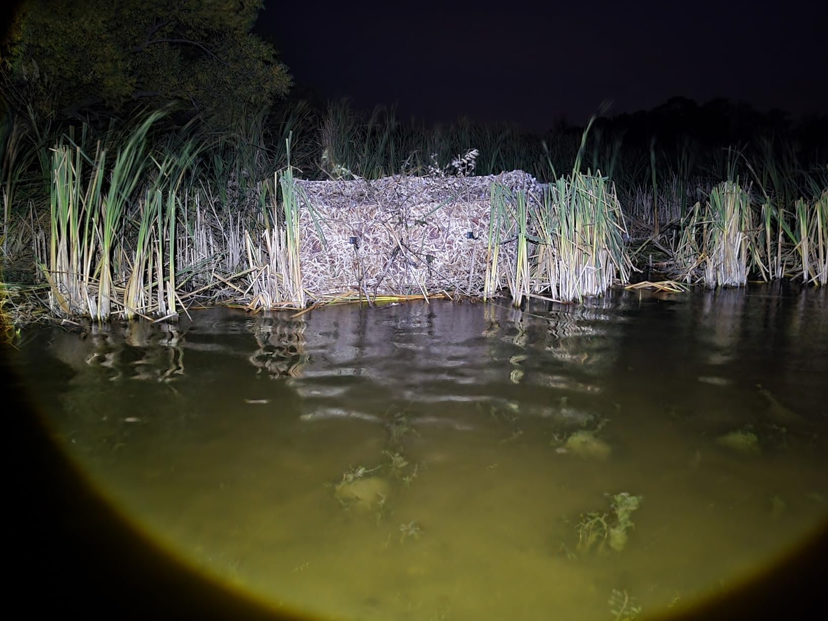 AUSCAMOTEK Pop Up Ground Blind for Deer Duck Turkey Hunting Portable Quick Setup Lightweight Green/Brown/Dry Grass Ground Peg Included customer photo 2