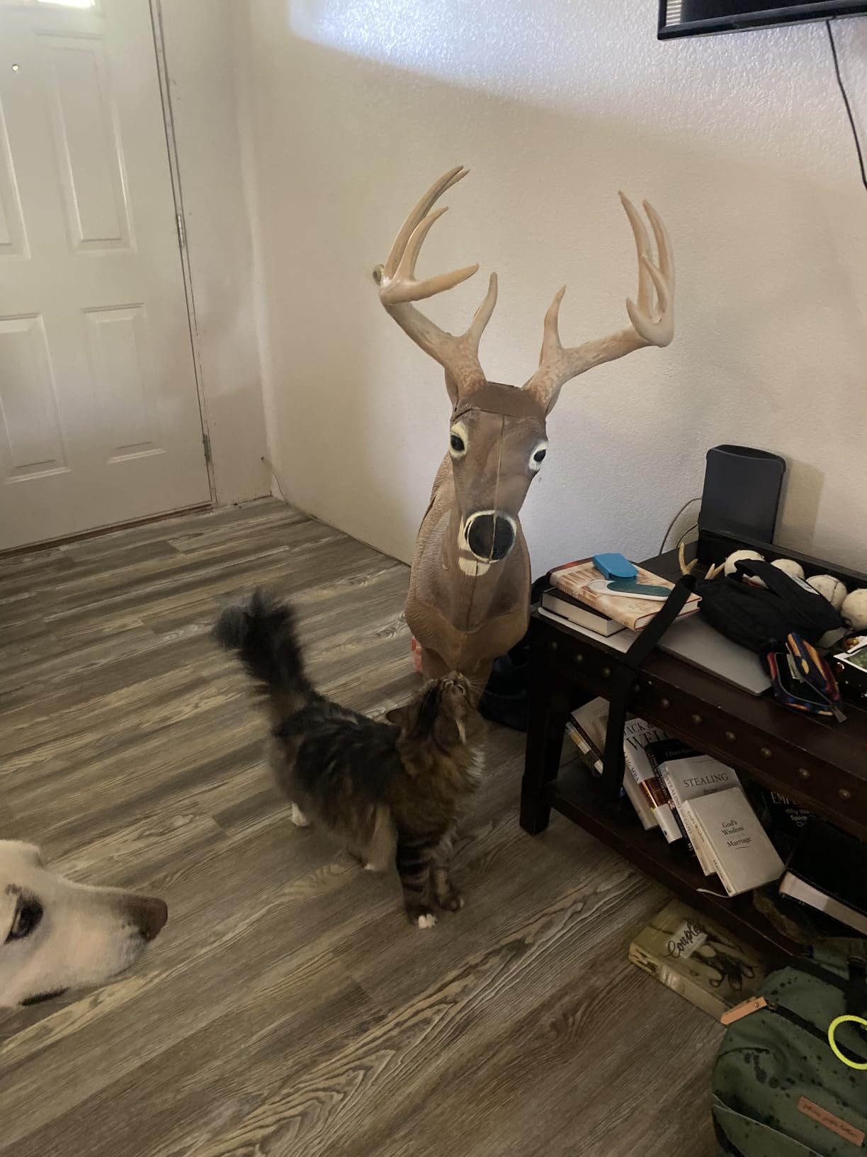 Rinehart Woodland Jimmy Big Tine Target customer photo 1