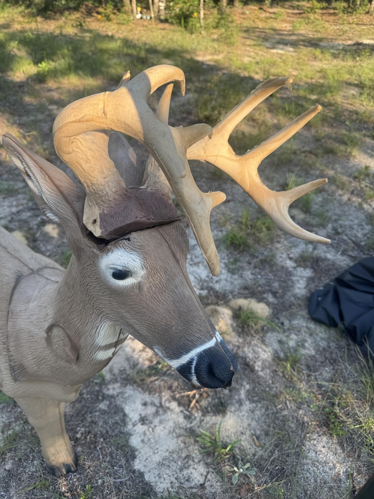 Rinehart Woodland Jimmy Big Tine Target customer photo 2
