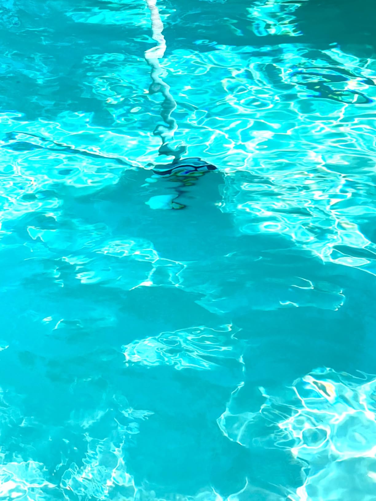 Hayward PoolVac XL Suction Pool Cleaner for Inground Pools up to 20 x 40 ft customer photo 1