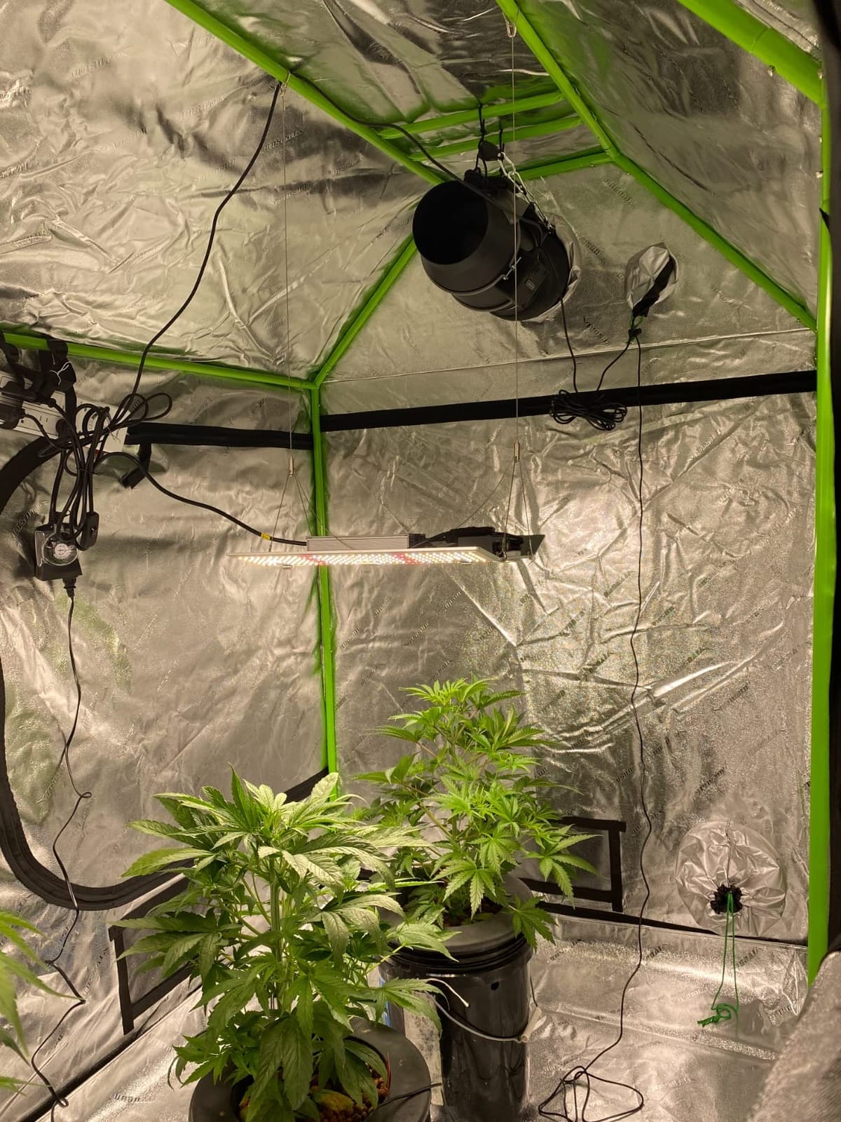 VIVOSUN R446 4x4 Grow Tent 48