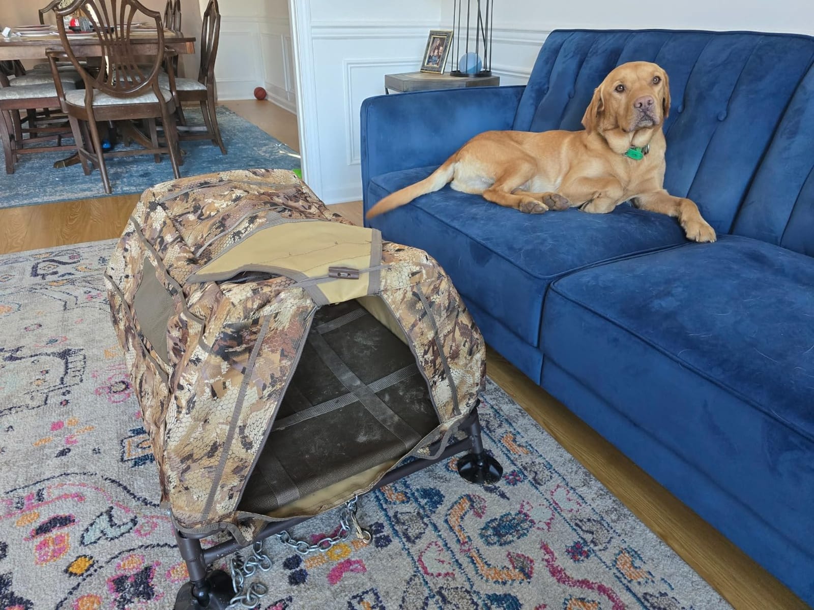 Momarsh Field House LP Dog Blind For Waterfowl Hunting & Gun Dogs customer photo 1