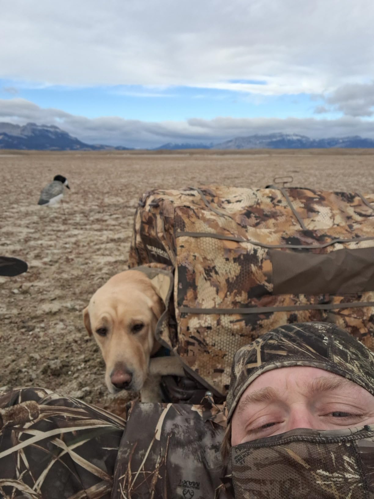 Momarsh Field House LP Dog Blind For Waterfowl Hunting & Gun Dogs customer photo 2