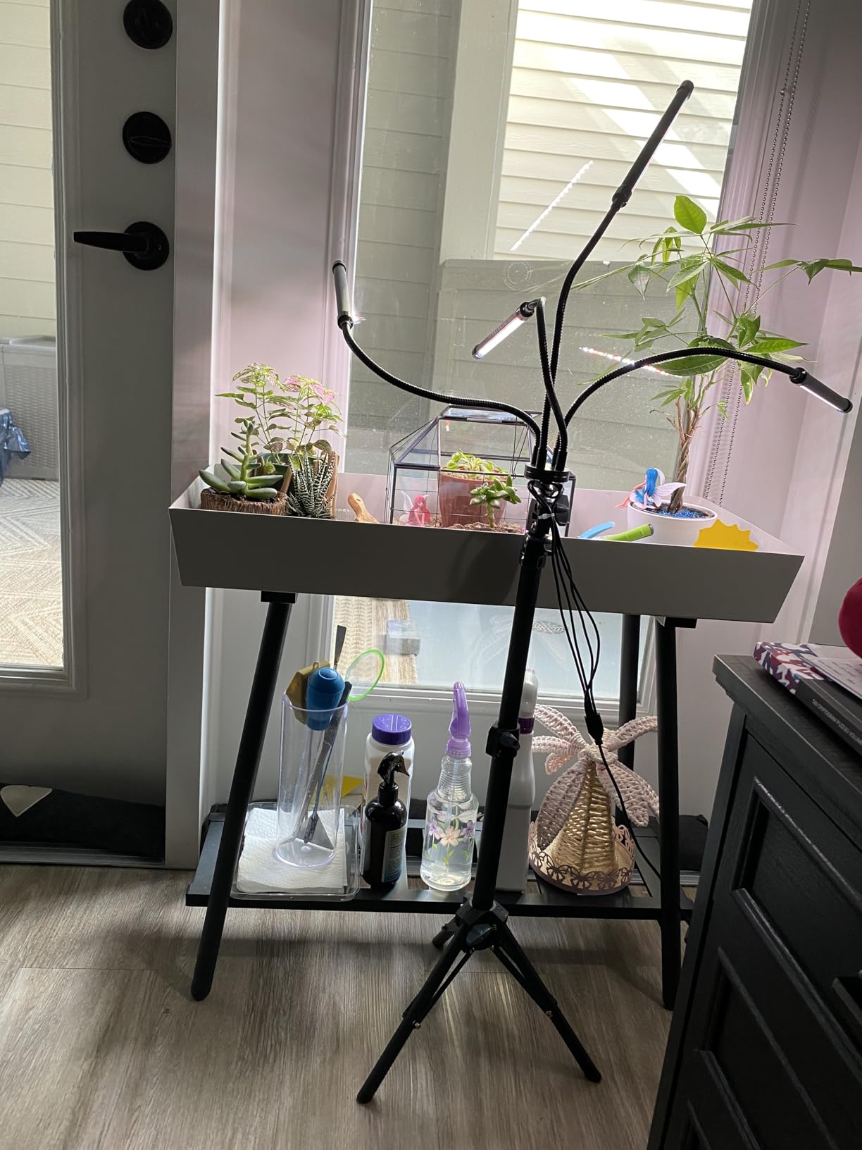 GHodec Grow Light Free Standing, 5500K Full Spectrum Gooseneck LED Lamp customer photo 1