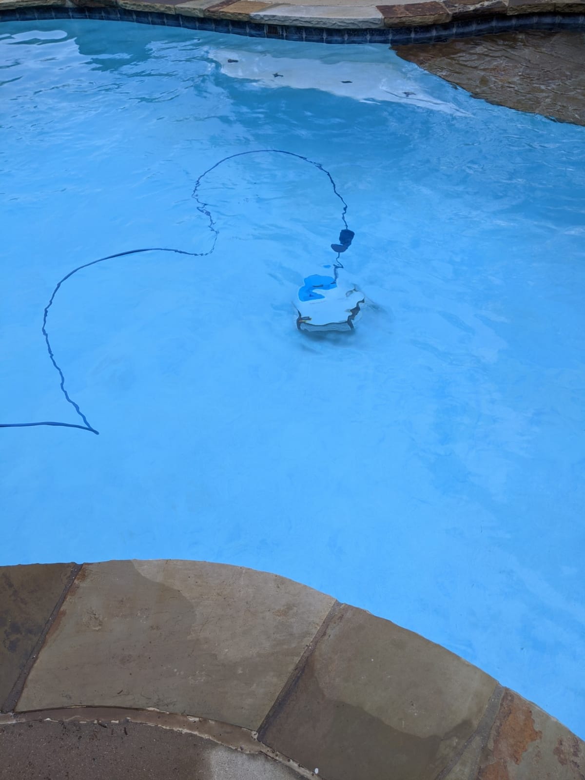 Dolphin Proteus DX3 Automatic Robotic Pool Vacuum Cleaner, Wall Climbing, Active Scrubber Brush, Ideal for In-ground Pools up to 33 FT in Length customer photo 1