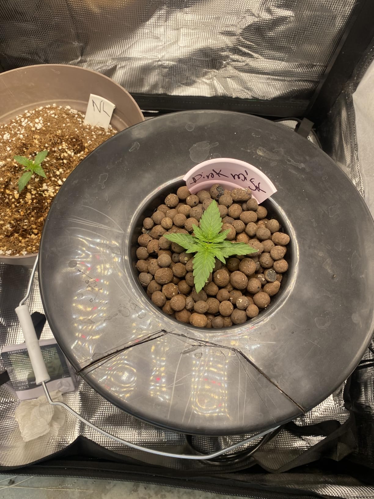 The Atwater HydroPod - DWC Deep Water Culture Garden System Kit - 5 Gallon Bubble Bucket - Bubbleponics - Nutrients & pH Testing/Adjusting Kits are Included! customer photo 2