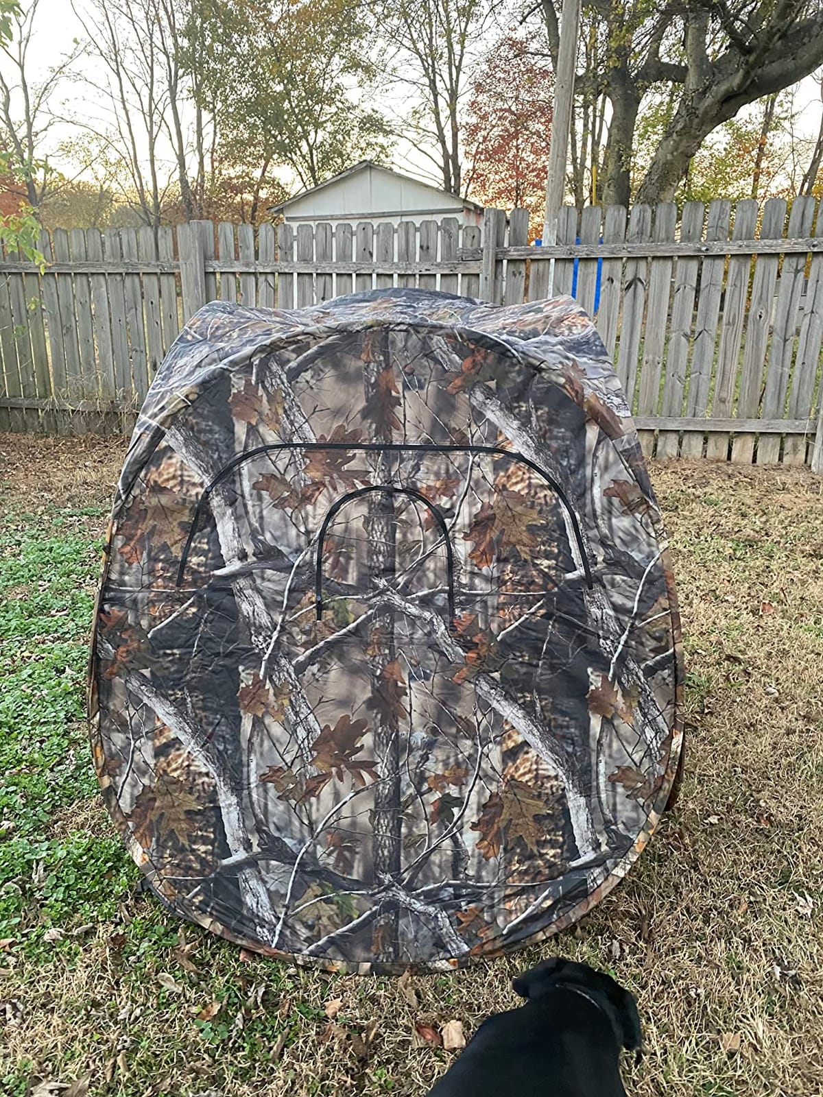 Guide Gear HuntRite Deluxe 4-Panel Spring Steel Hunting Blind; 2 Person Ground Tent for Deer and Turkey Season customer photo 2