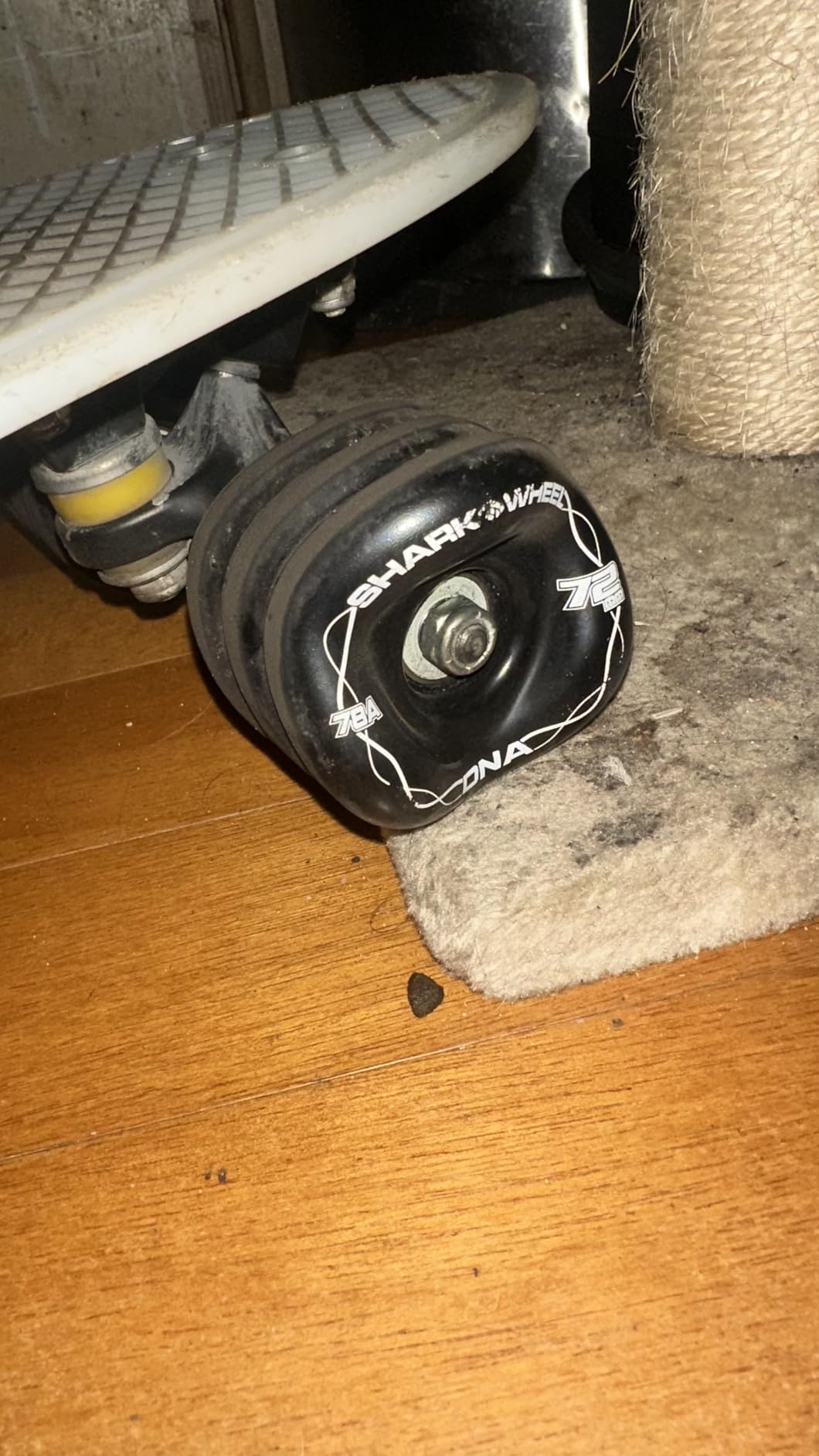 Shark Wheel 72mm Longboard Cruising Wheels, DNA Formula, Set of 4 Wheels customer photo 2
