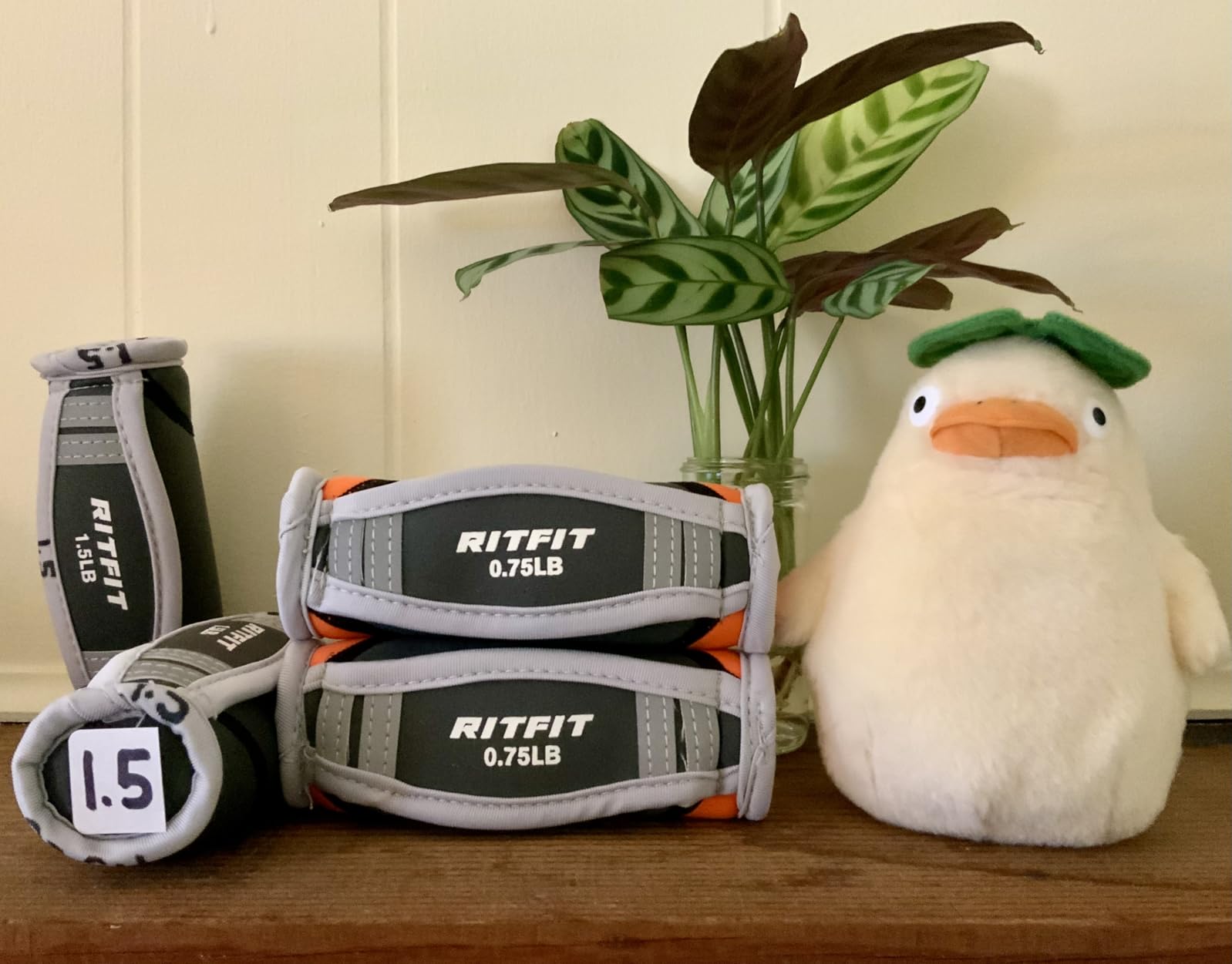 RitFit Soft Hand Weights Set with Reflective Straps Walking Dumbbell customer photo 1