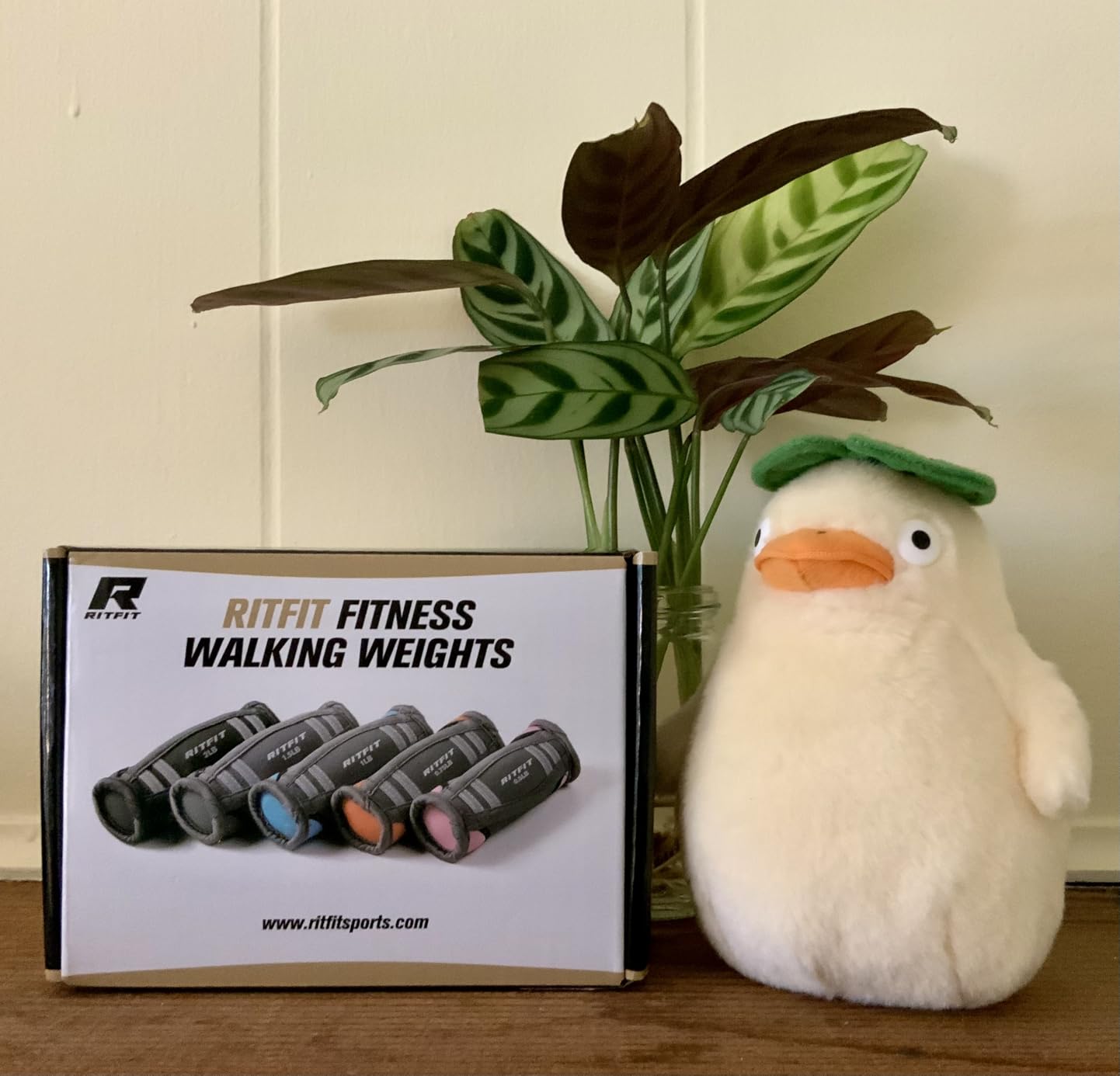 RitFit Soft Hand Weights Set with Reflective Straps Walking Dumbbell customer photo 2
