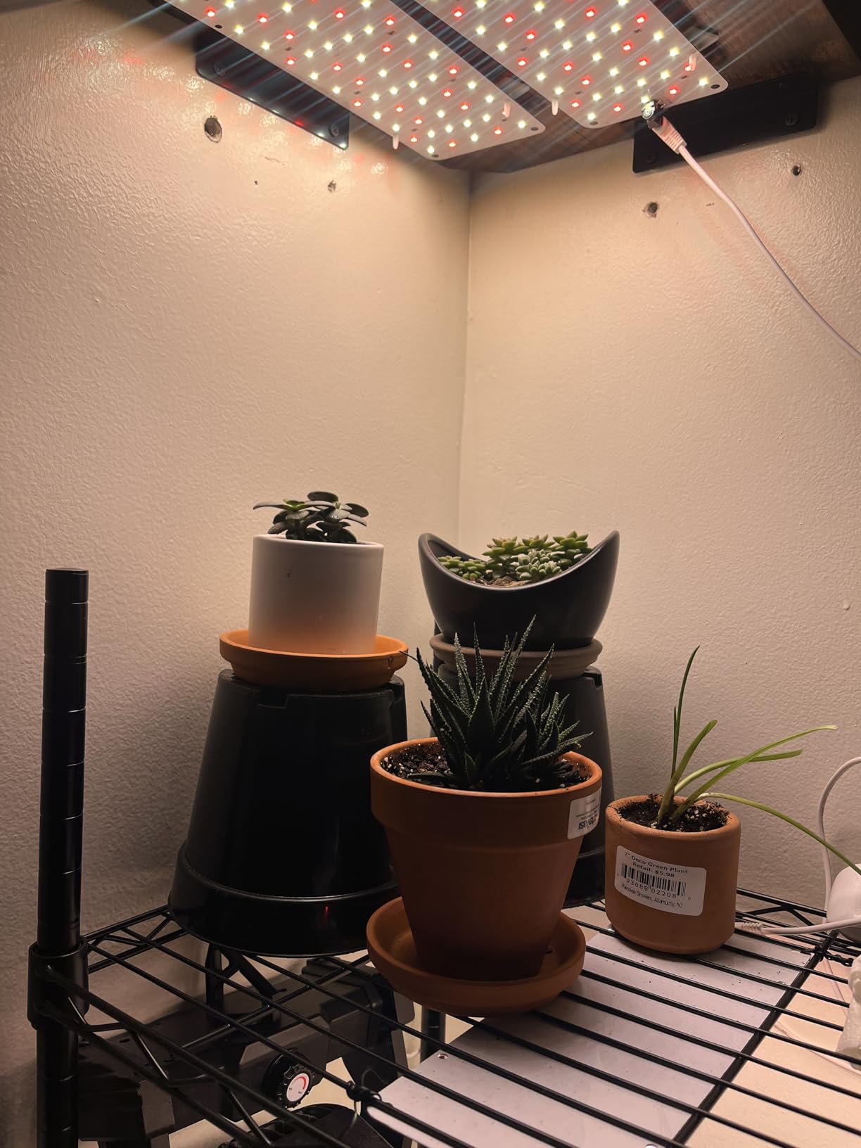 Panel Grow Light for Indoor Plants, 20W Ultra-Thin Full Spectrum customer photo 1