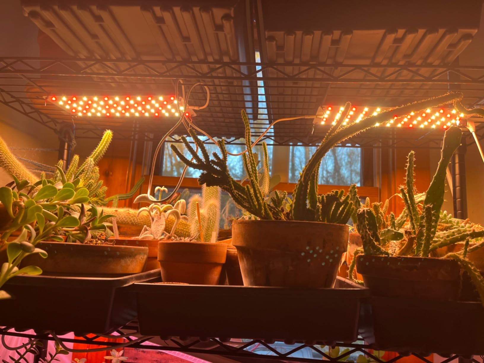Panel Grow Light for Indoor Plants, 20W Ultra-Thin Full Spectrum customer photo 2