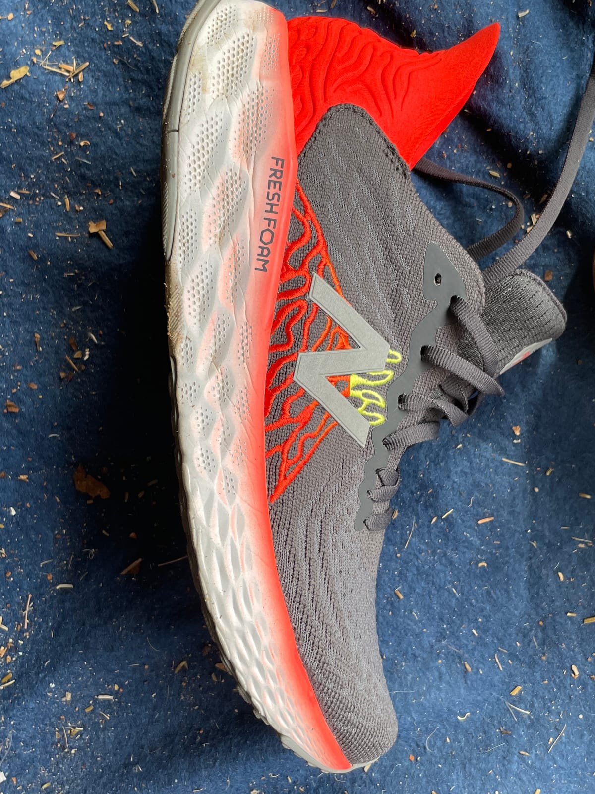 New Balance Fresh Foam 1080v10 customer photo 1