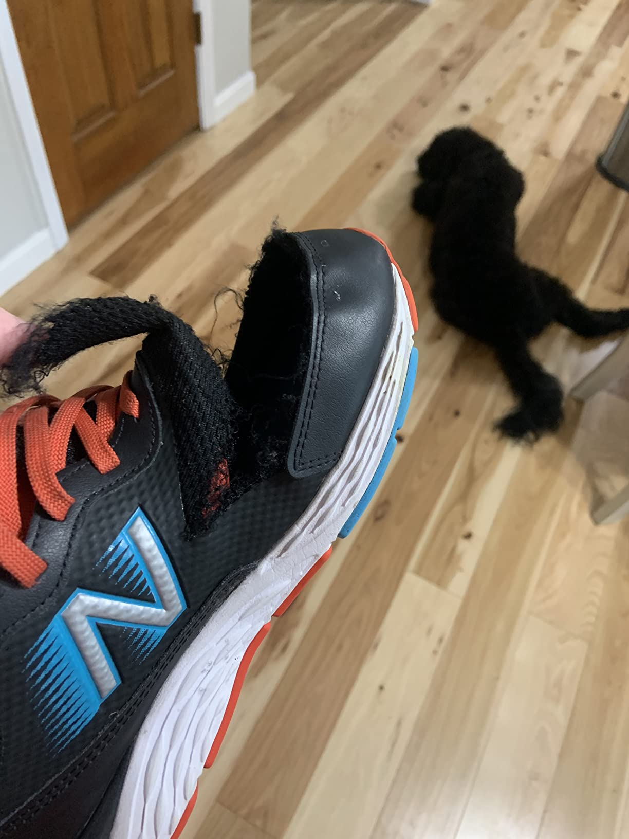 New Balance Kids' 680 V6 Lace-up Running Shoe customer photo 1