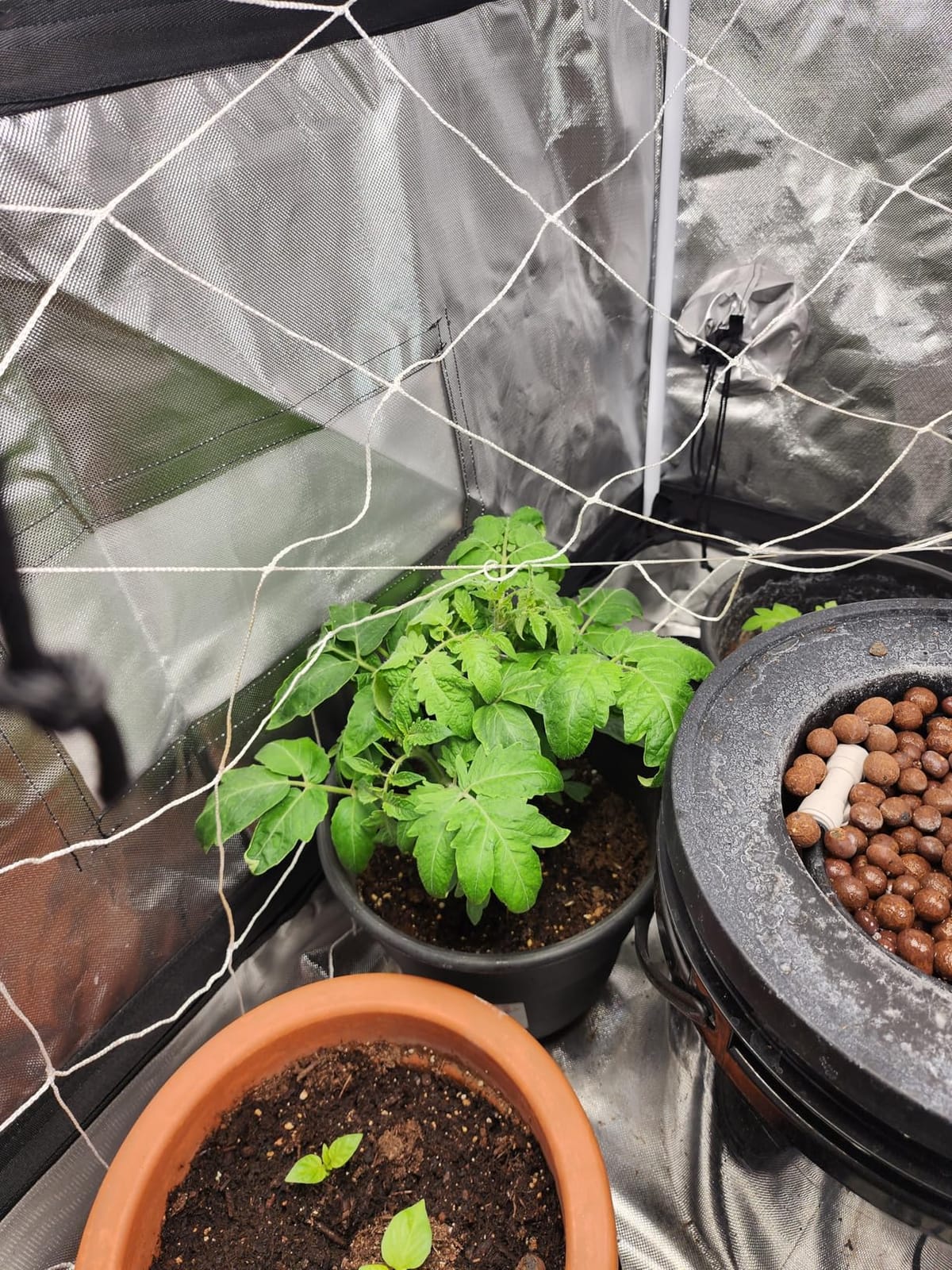 VIVOSUN DWC Hydroponics Grow System with Top Drip Kit 4 Buckets customer photo 1