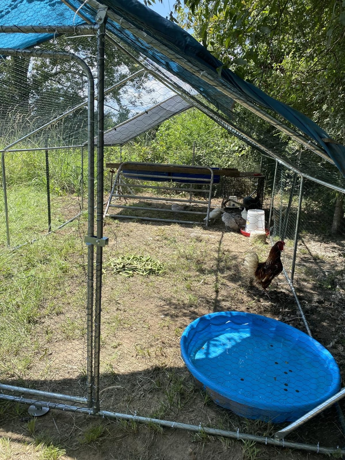 LEMBERI 20x10 FT Extra Large Metal Chicken Coop, Walk-in Run customer photo 1