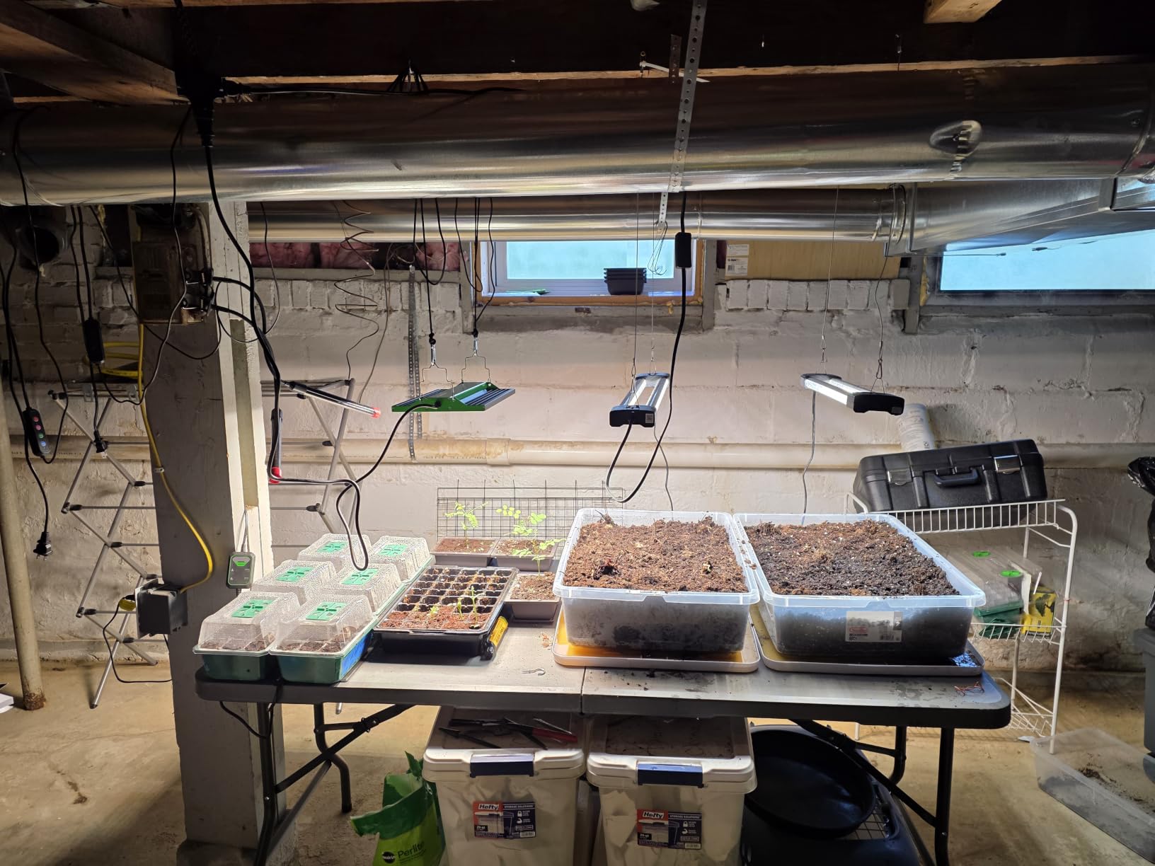 VIVOSUN 6-Pack Seed Starter Trays, 72-Cell Starter Kit with Humidity Dome customer photo 1