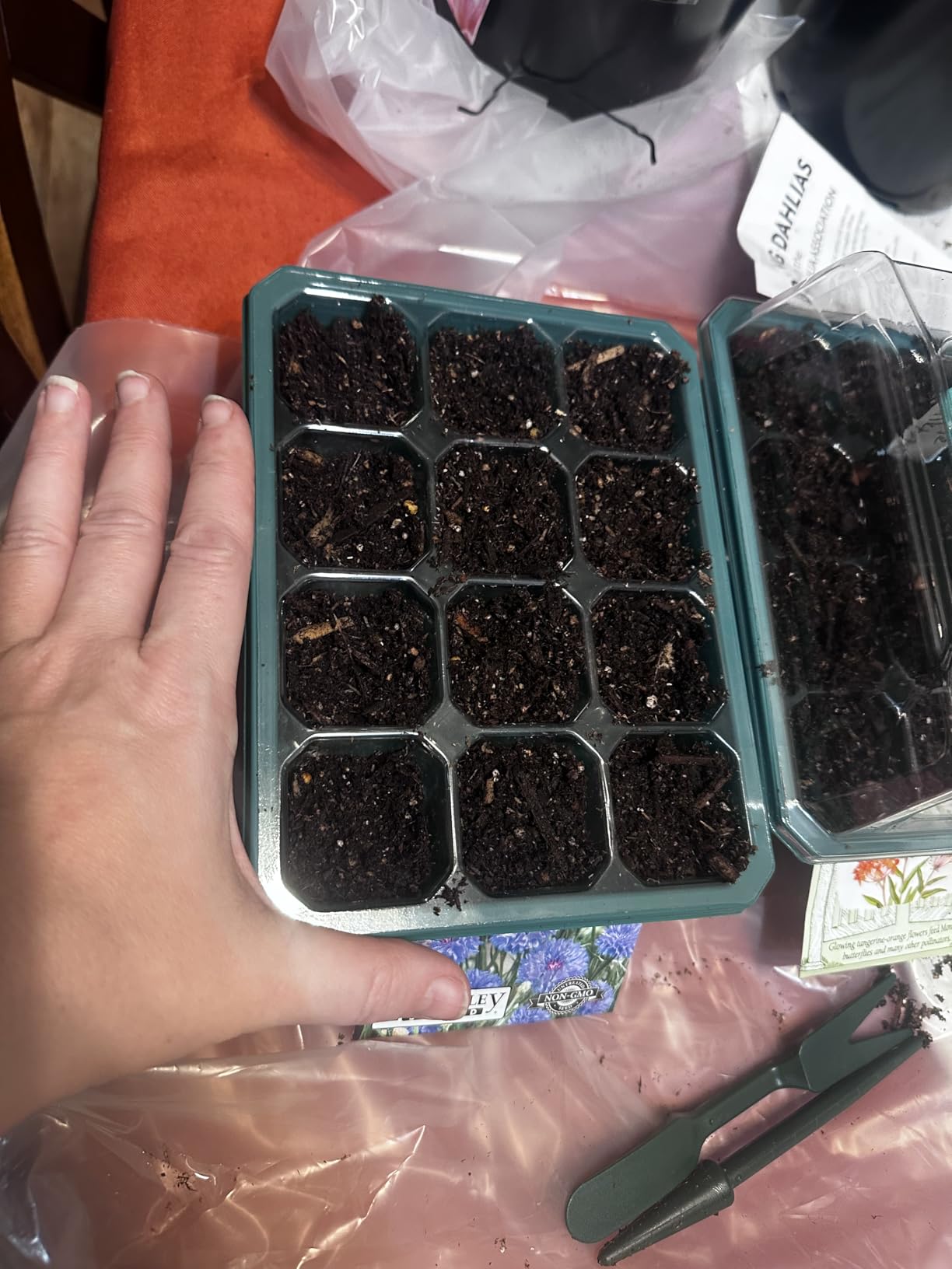 VIVOSUN 6-Pack Seed Starter Trays, 72-Cell Starter Kit with Humidity Dome customer photo 2