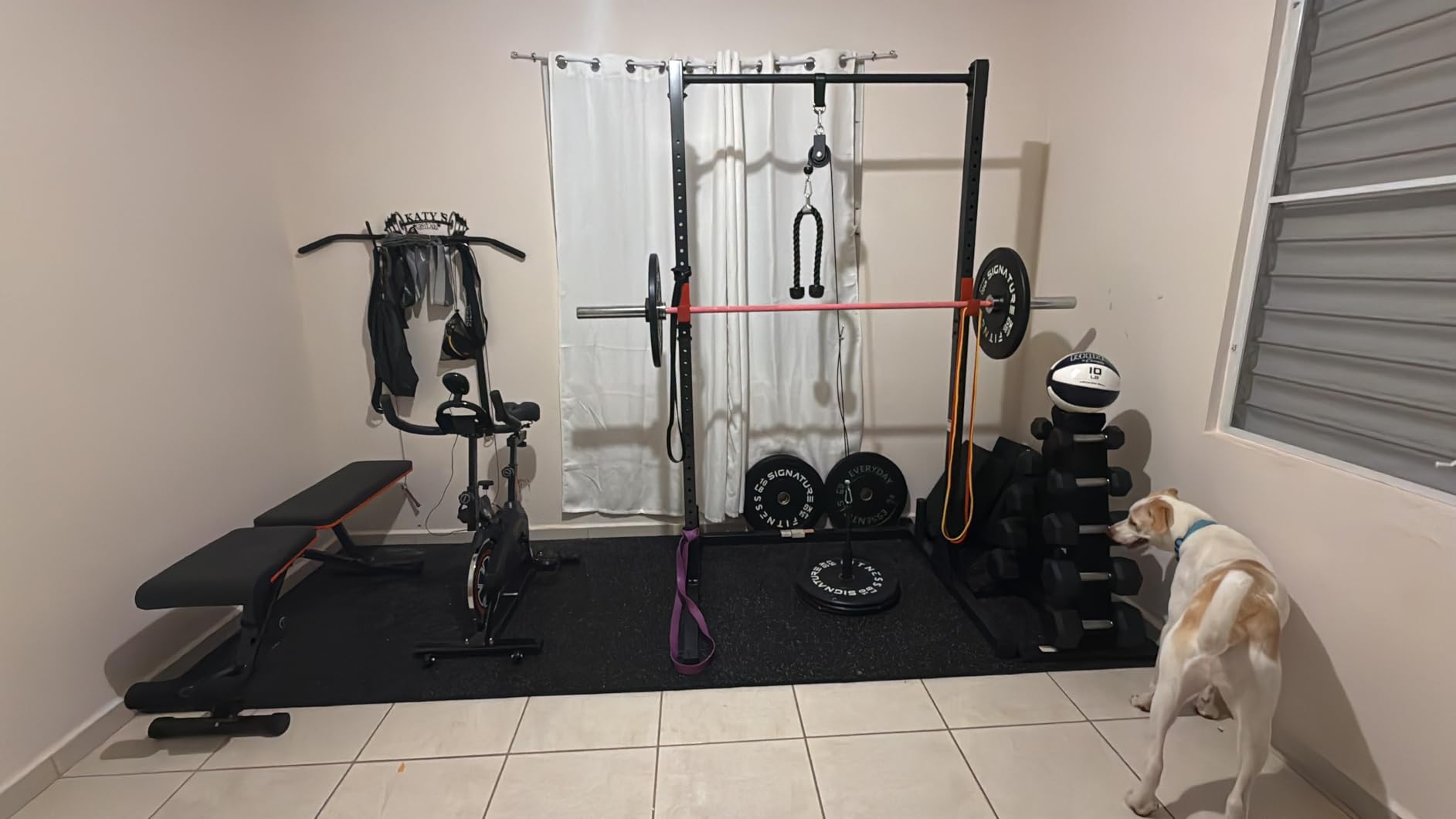 FitBeast Pulley System Gym, Cable Weight Pulley System for Gym LAT Pulldown, Biceps Curl Workout, Ideal Home Gym Equipment for Forearm, Shoulder, Strength Training customer photo 1
