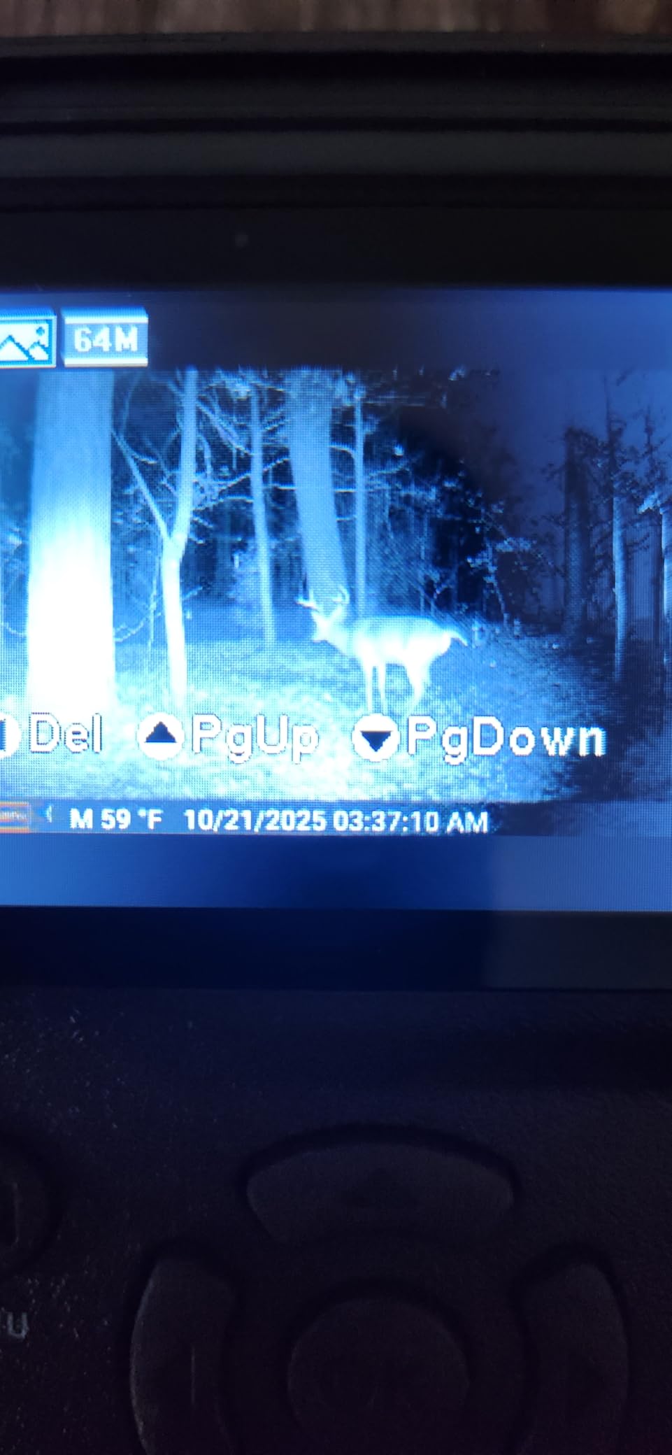 GardePro E5S Trail Camera, 64MP Photo & 1296P HD Video customer photo 2