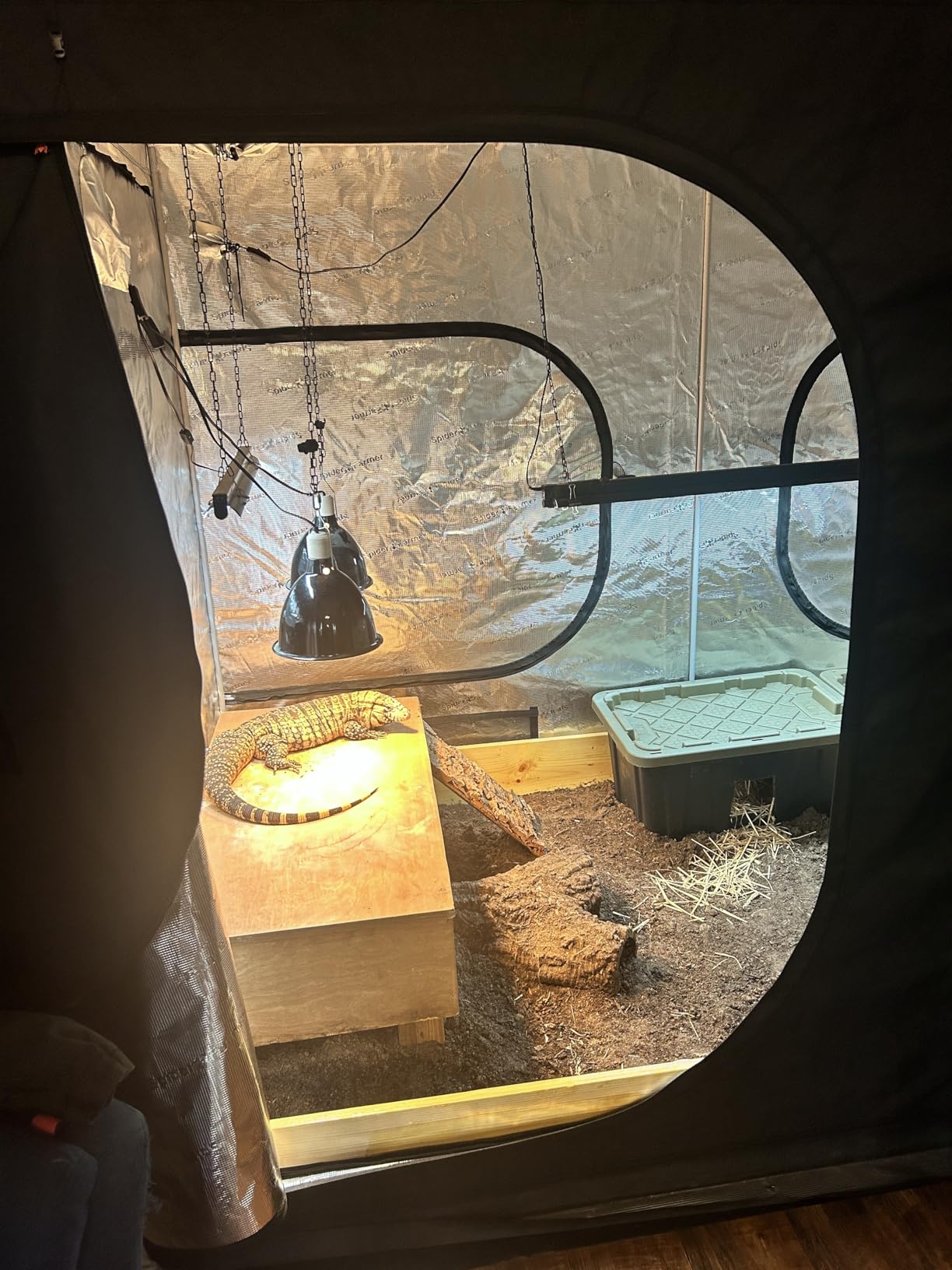 Spider Farmer 2x2x6 Grow Tent 24