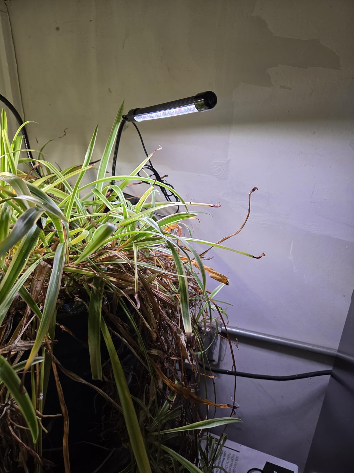 Plant Grow Light,48LED White Red 6000K Full Spectrum Gooseneck Growing Lamp customer photo 1