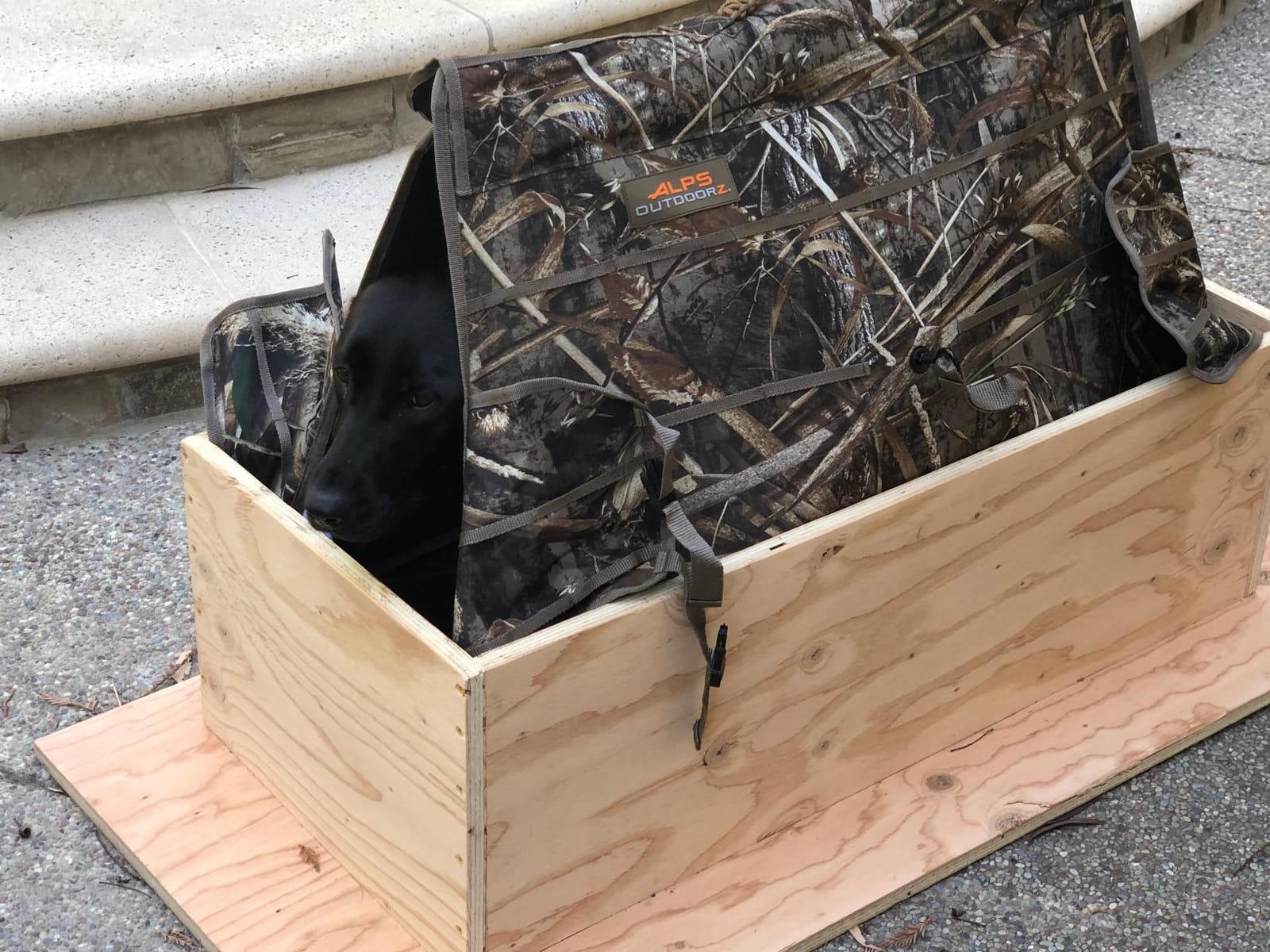 ALPS OutdoorZ Alpha Dog Blind customer photo 2