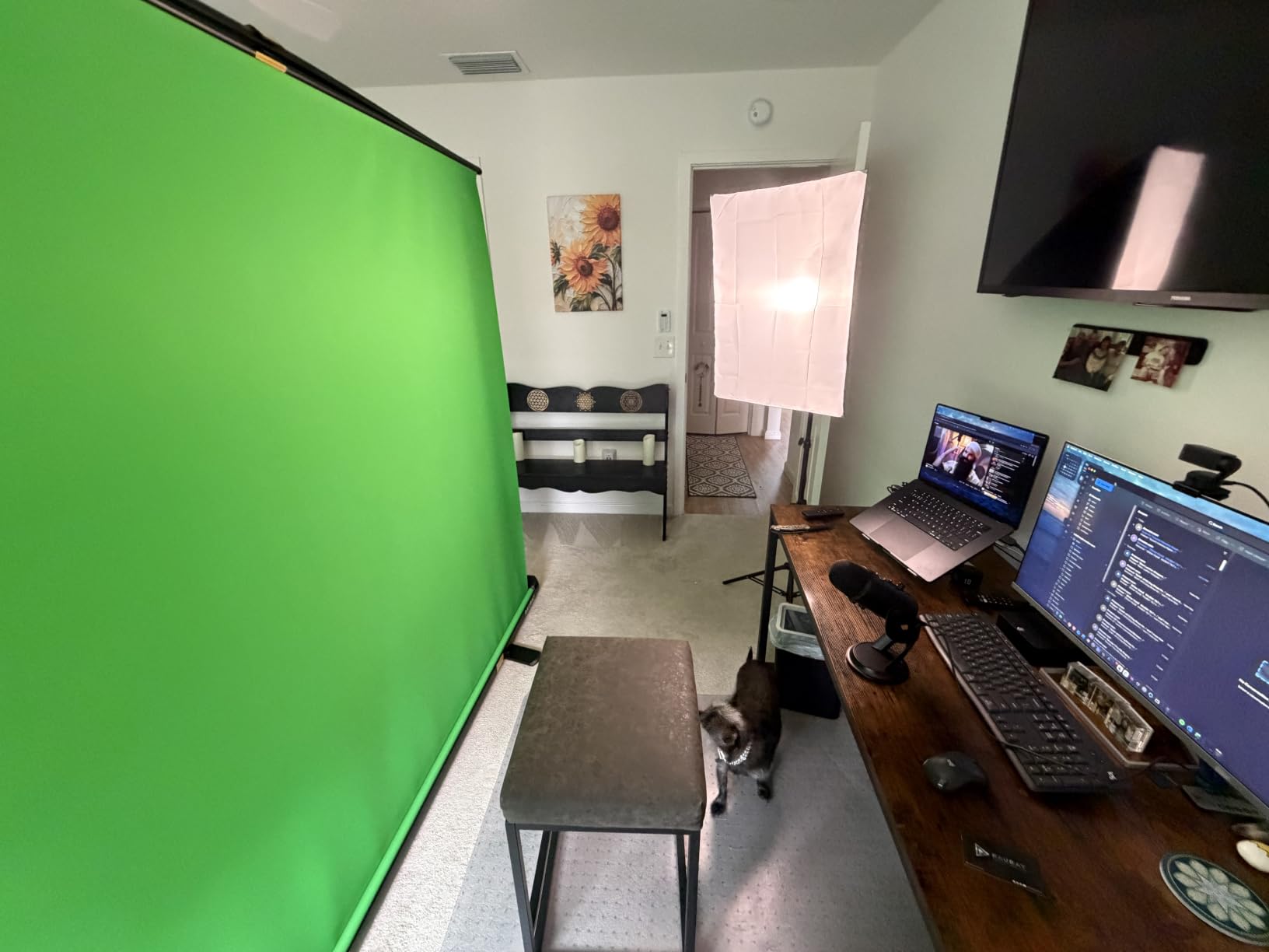【Easy Set-Up】 RAUBAY 59.8 x 82.7in Collapsible Gray Backdrop Screen customer photo 1