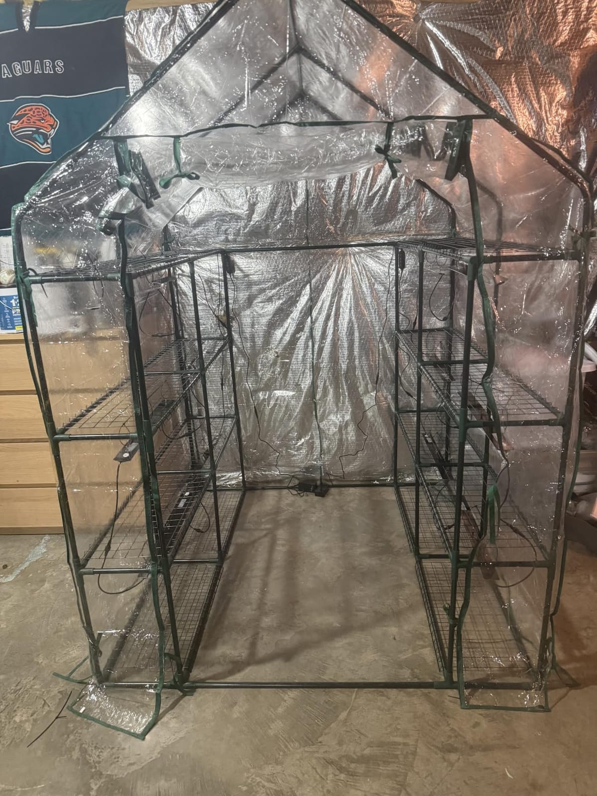 Bstrip Indoor Greenhouse with Grow Light, 4-Tier Mini Greenhouse Indoor customer photo 1
