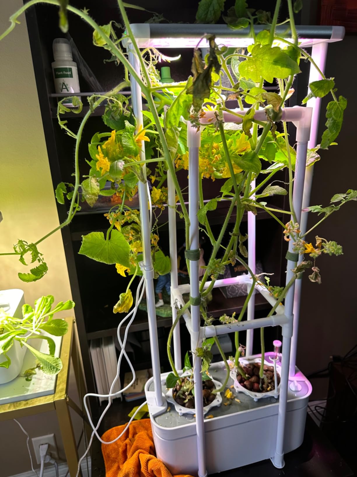 Tall Hydroponics Growing System kit with Height Adjustable Light & Trellis customer photo 2