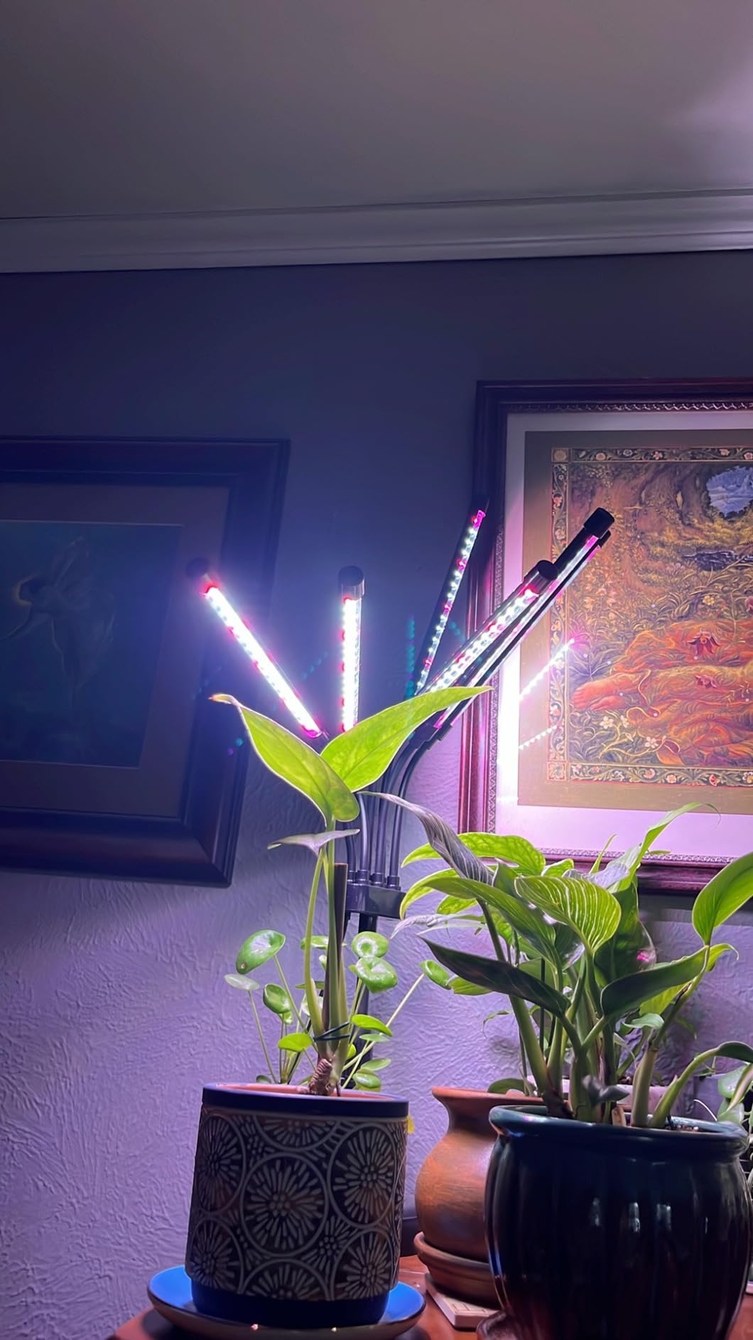 SYEIORAOM Grow Lights for Indoor Plants, Six Head Plant Light with Full Spectrum, LED Grow Lamps for Seed Starting with Adjustable Gooseneck, Suitable for Flowers Vegetables customer photo 2