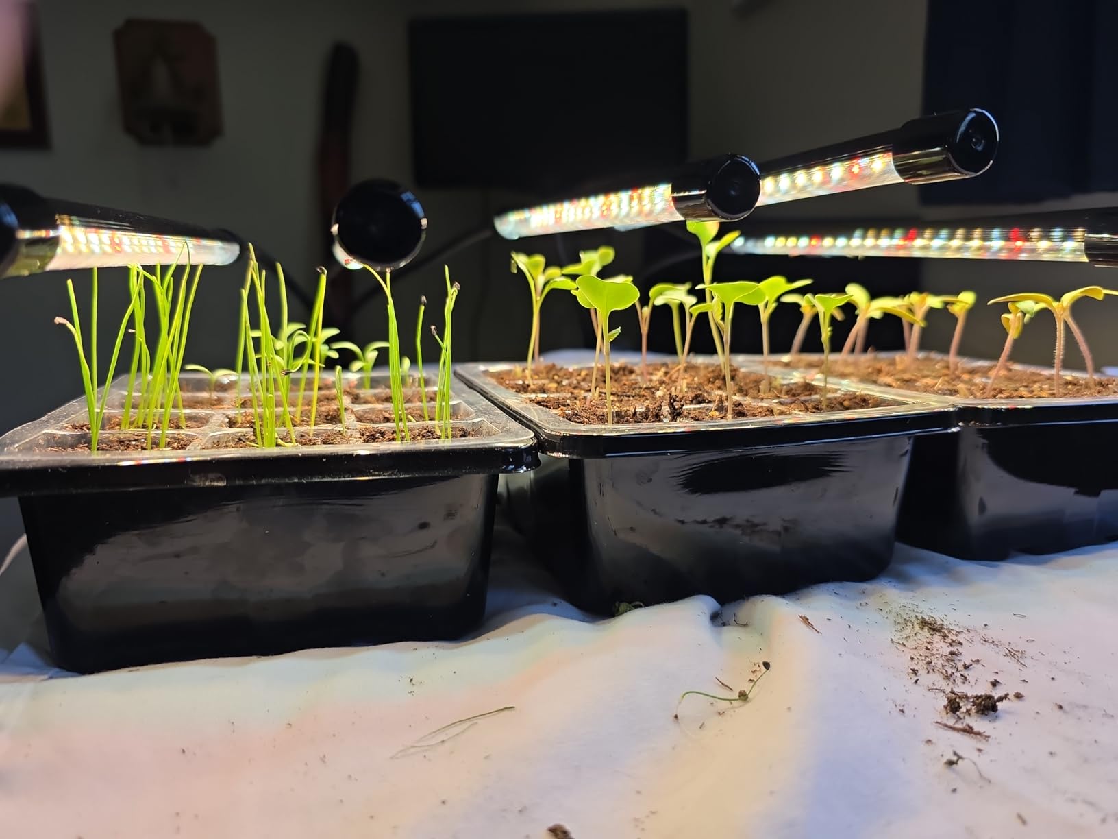 Grow Lights for Indoor Plants, Full Spectrum Tri-Head Clip Plant Lights customer photo 2