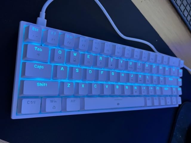 DIERYA T68SE 60% Gaming Mechanical Keyboard,Ultra Compact Mini 68 Key with Red Switches Wired Keyboard,Anti-Ghosting Keys, for Windows Laptops and PC Gamers,White customer photo 1