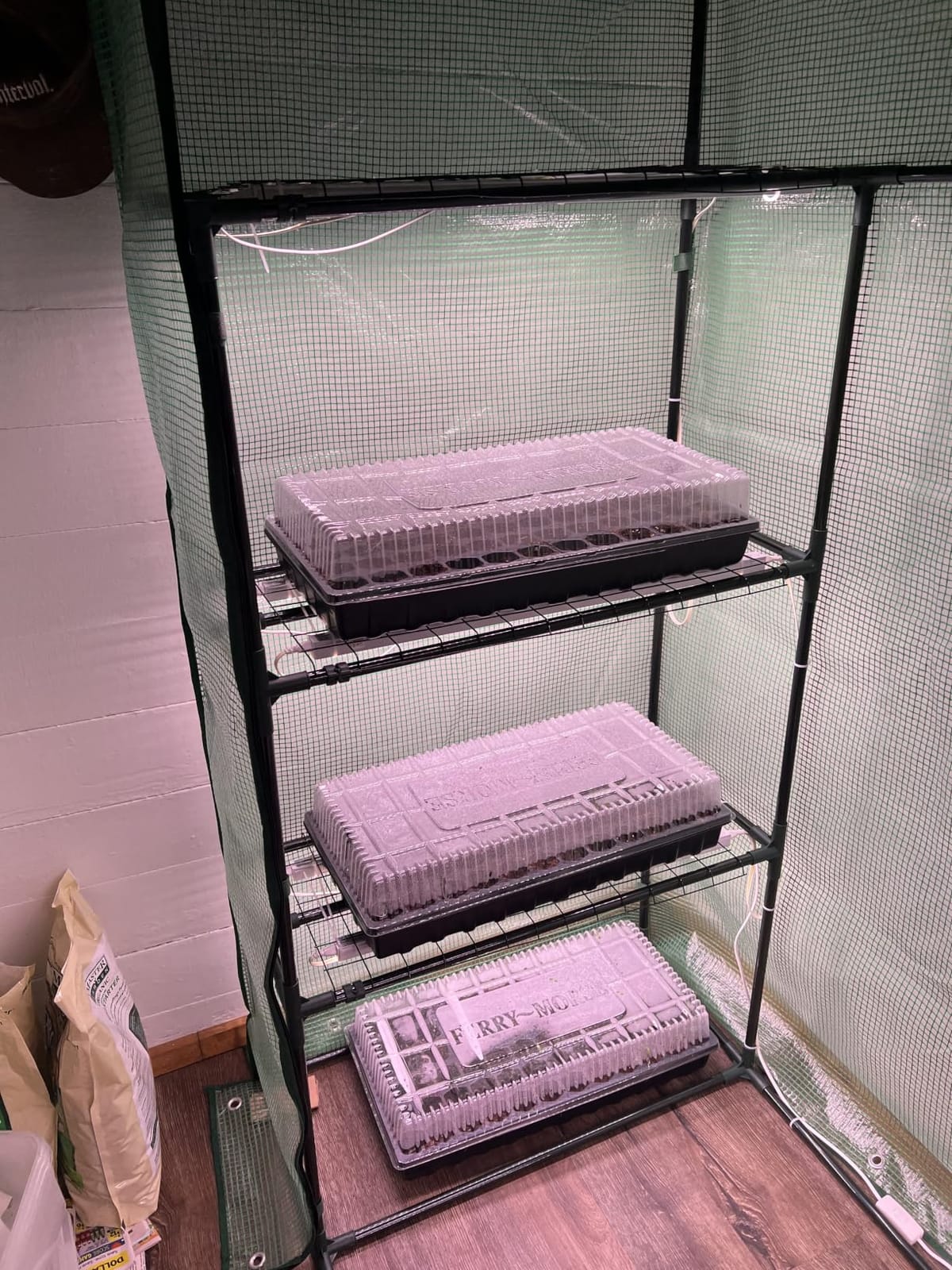 Barrina T5 Grow Lights for Indoor Plants, 5000K Full Spectrum, 1FT, 4 Packs customer photo 2