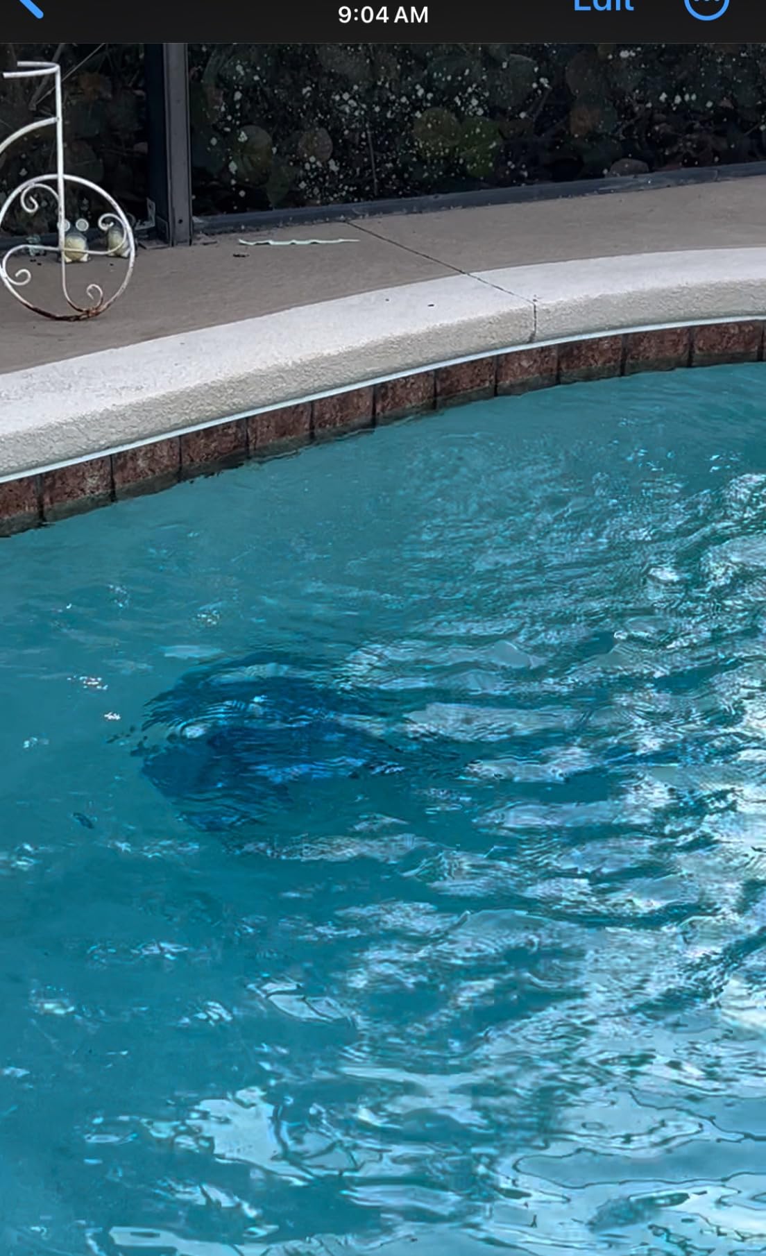 U.S. Pool Supply Octopus Suction Pool Cleaner, Inground Automatic Pool Vac customer photo 2