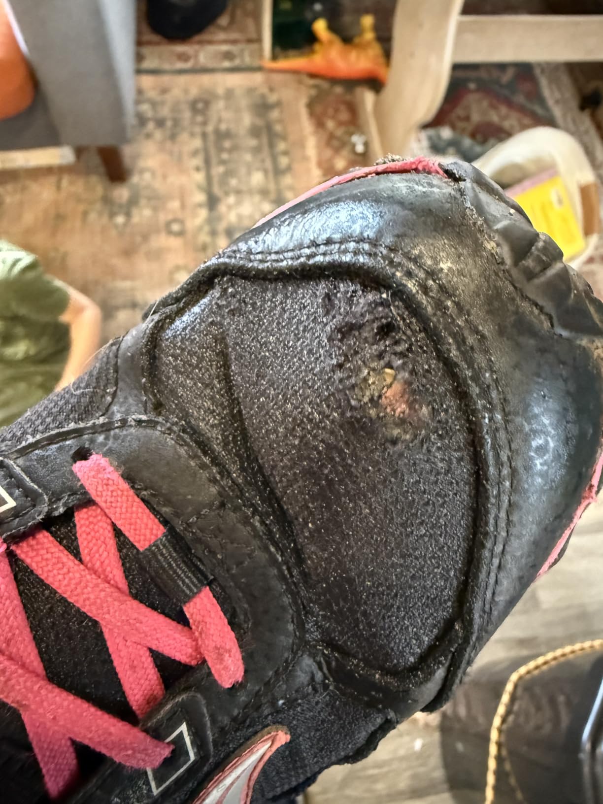 Saucony Unisex-Child Cohesion Tr14 Lace to Toe | Trail Running Shoes customer photo 1