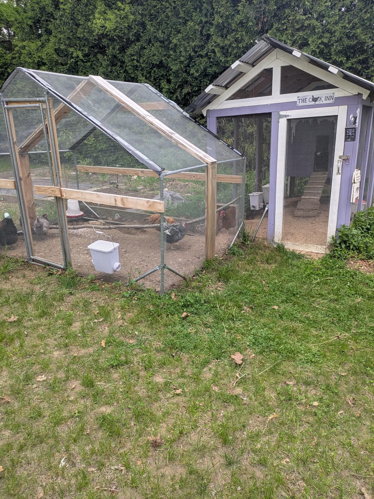 13x9.8x6.5 ft Large Metal Chicken Coop Walk-in Chicken Run with Cover customer photo 1