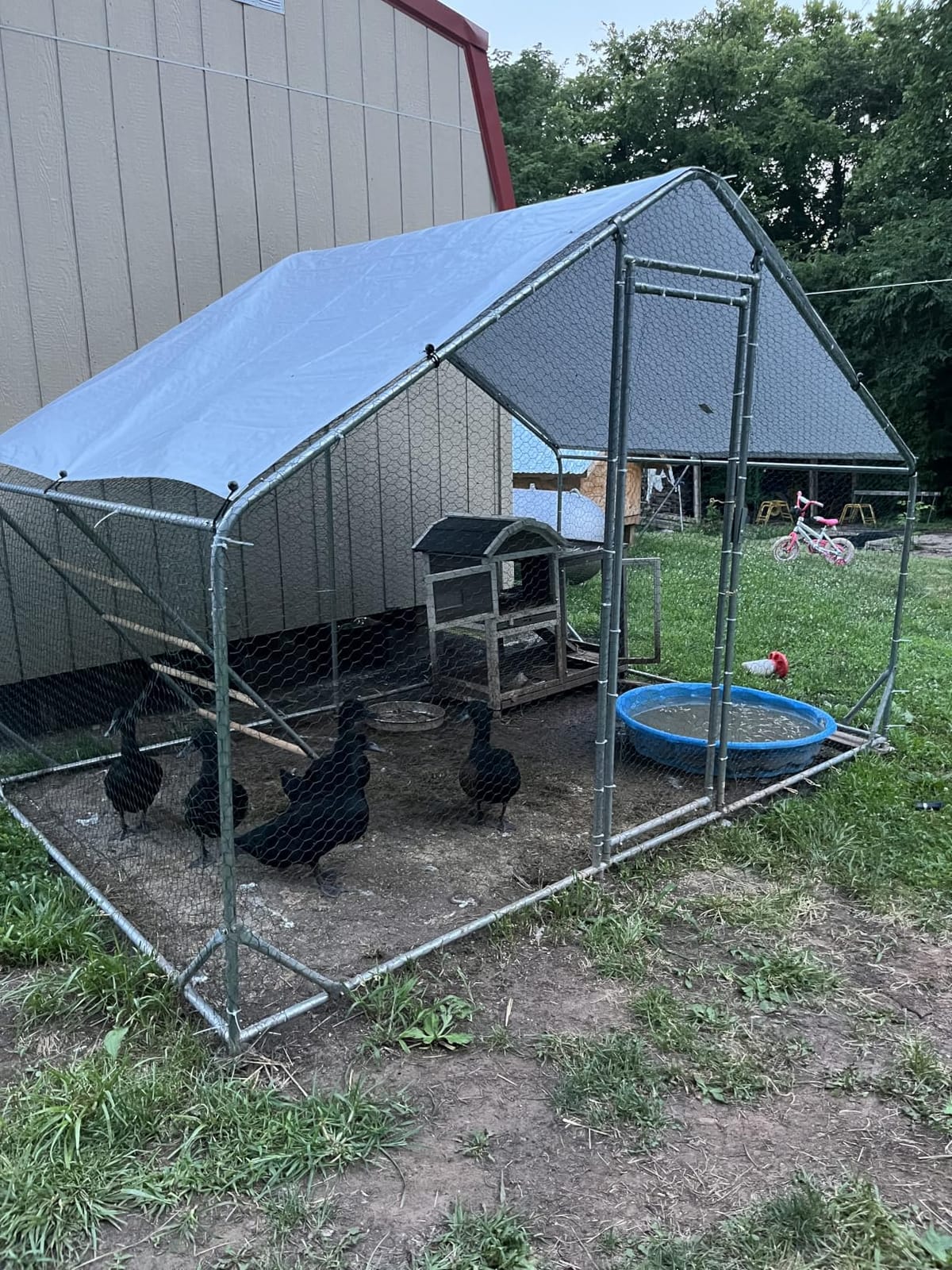 13x9.8x6.5 ft Large Metal Chicken Coop Walk-in Chicken Run with Cover customer photo 2