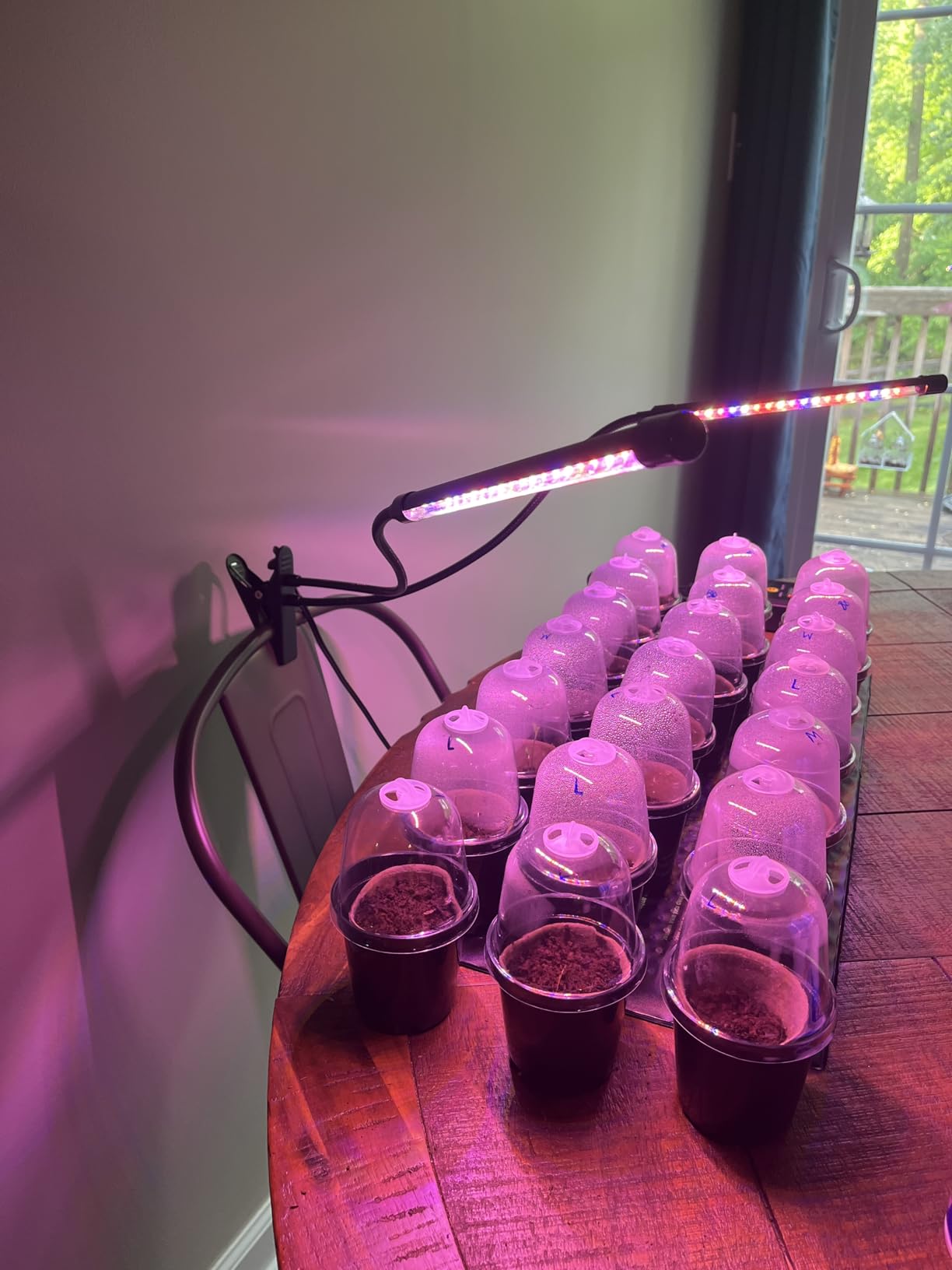Garpsen Plant Light, 2 Heads Grow Lights for Seed Starting with Clip, 2Pack customer photo 1