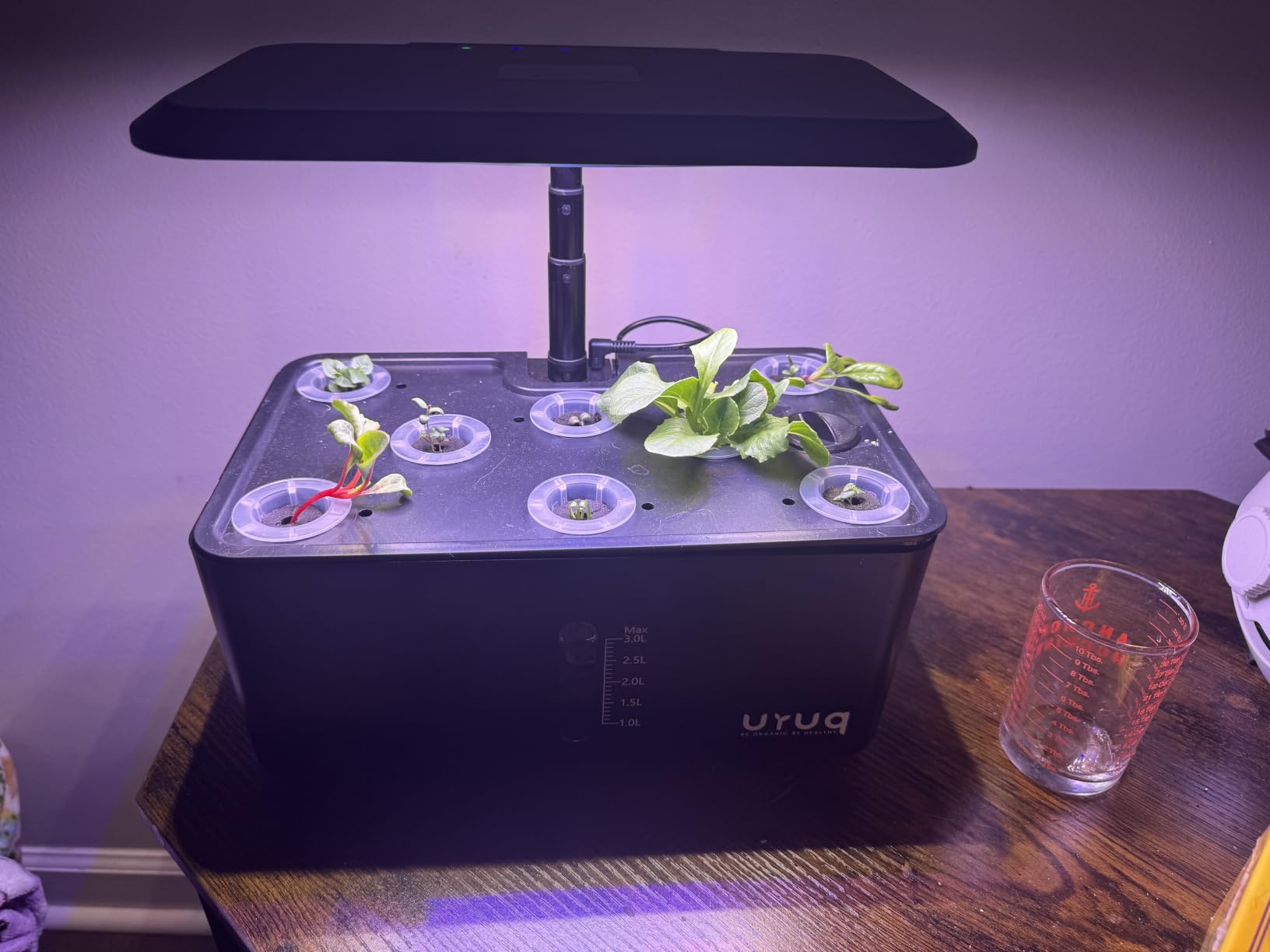 URUQ 8 Pods Hydroponics Growing System with LED Grow Light - White customer photo 1