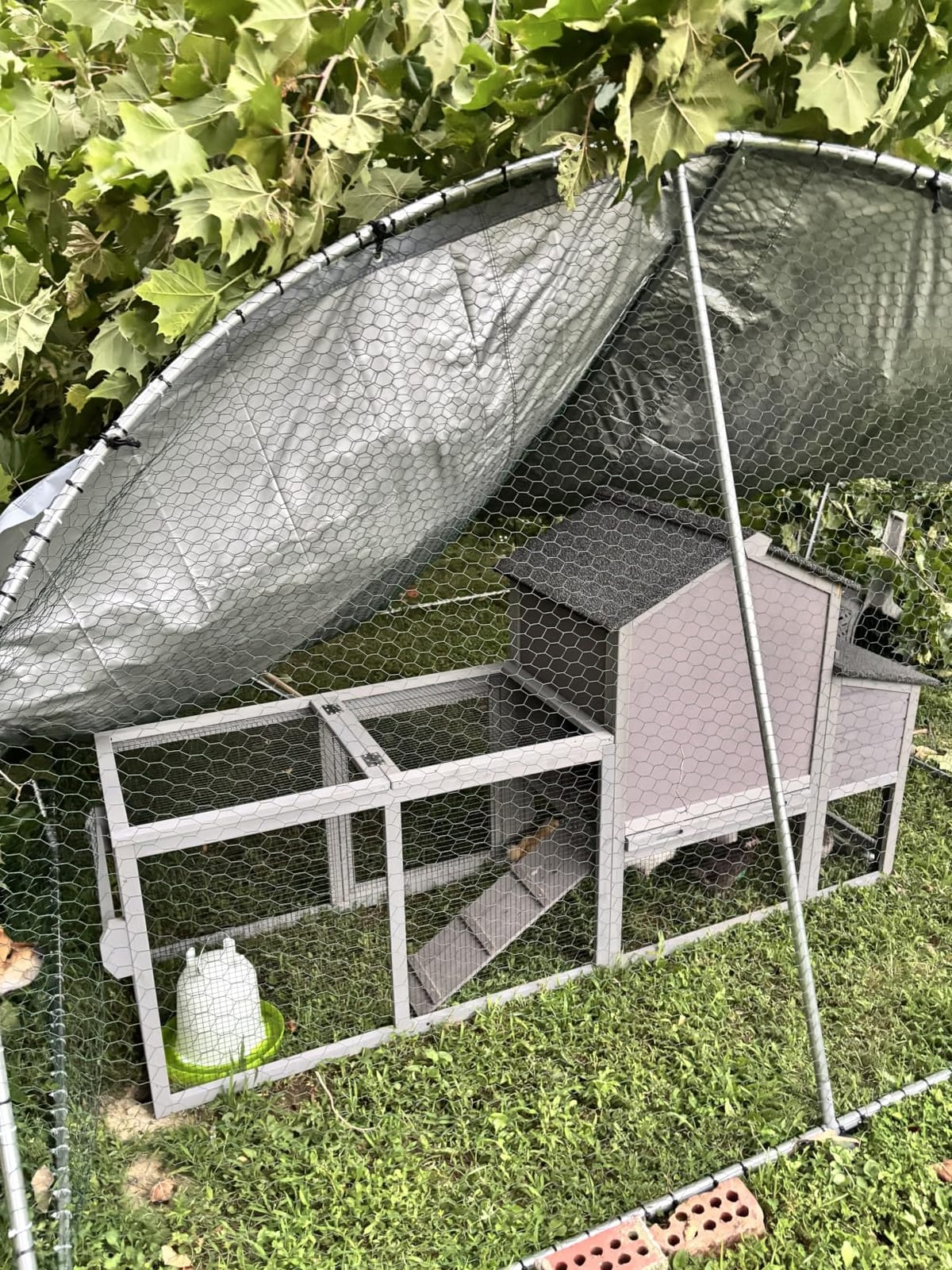 Large Metal Chicken Coop Spire Top Upgrade Tri-Supporting Wire Mesh Chicken Run,Chicken Pen with Water-Resident and Anti-UV Cover,Duck Rabbit House Outdoor (19.5'L x 10'W x 6.5'H) customer photo 1
